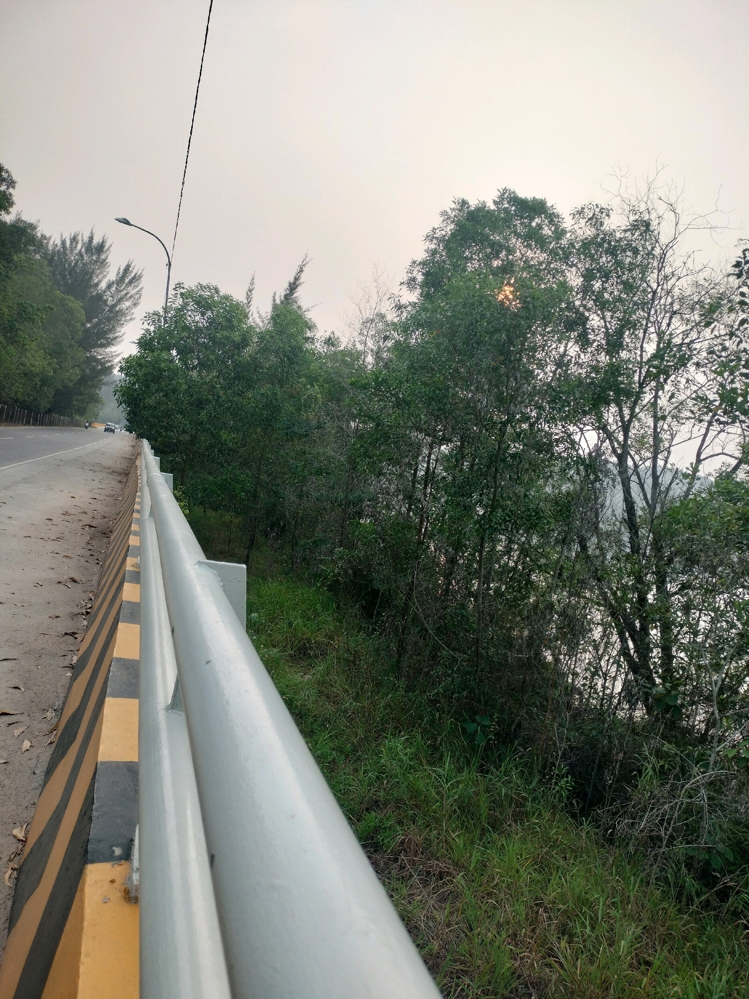 The image depicts a roadside scene with a white metal guardrail in the foreground, running along the right side of a road. The guardrail is made of two horizontal pipes, with supporting posts visible at intervals. To the left of the guardrail is a paved road with a yellow and black striped barrier marking its edge. Some fallen leaves are scattered on the road's shoulder.
Beyond the road and guardrail, lush green vegetation dominates the scene. A variety of trees, some with dense foliage and others with sparser branches, are visible. Sunlight peeks through the leaves of a large tree in the center-right of the frame, creating a dappled effect. In the background, a street lamp on a curved pole can be seen on the left side of the road, and a hazy sky suggests either early morning or late afternoon. There are a few vehicles on the road in the distance.
This scene appears to be located on a road in Batam, Indonesia, likely along a coastal or riverside area, given the dense vegetation and potential for water bodies not fully captured in the frame. The environment is natural and somewhat overgrown, typical of many roadsides in tropical regions.