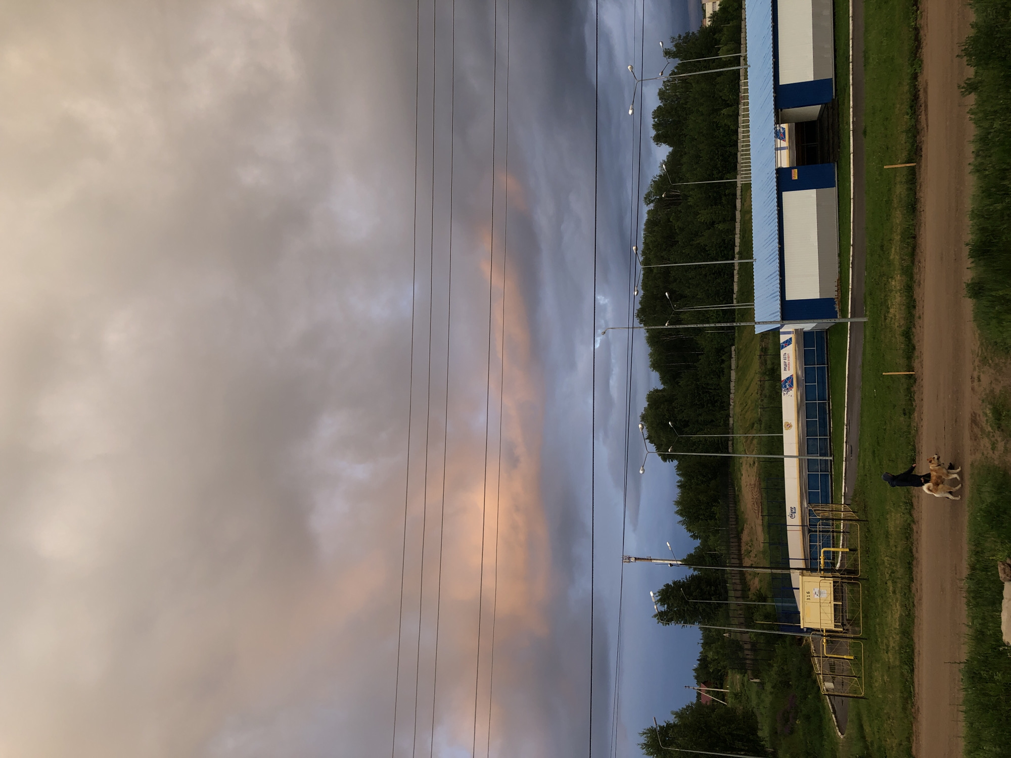 The image captures an outdoor scene under a dramatic sky, likely in Noviy, Russia. The main subjects include a person walking with two dogs, industrial-style buildings, power lines, streetlights, and trees.
The setting appears to be an industrial or semi-urban fringe area. A wide dirt path runs horizontally across the lower right of the frame, bordered by green grass and dense trees. Along the path, several tall streetlights extend into the distance.
The activity central to the foreground is a person, dressed in dark clothing, walking on the dirt path accompanied by two dogs. One dog is light-colored and fluffy, while the other is darker and appears to be walking close to the person.
Notable details include the striking sky, which features a blend of dark, heavy grey clouds and a pronounced horizontal band of orange-pink light, suggesting either late afternoon or early evening with transitional weather, possibly a looming storm or a break in the clouds. Multiple power lines stretch across the sky. Several utilitarian-looking buildings with blue corrugated roofs and white/grey walls are visible among the trees. One such building has a yellow metal fenced enclosure and pipes nearby.
The Cyrillic word "ГАЗ" (GAS) is clearly visible on a blue and white building to the left of the dirt path, indicating its function. Other partial text "РВЭ" and "УБО" is also visible on signs near the buildings.