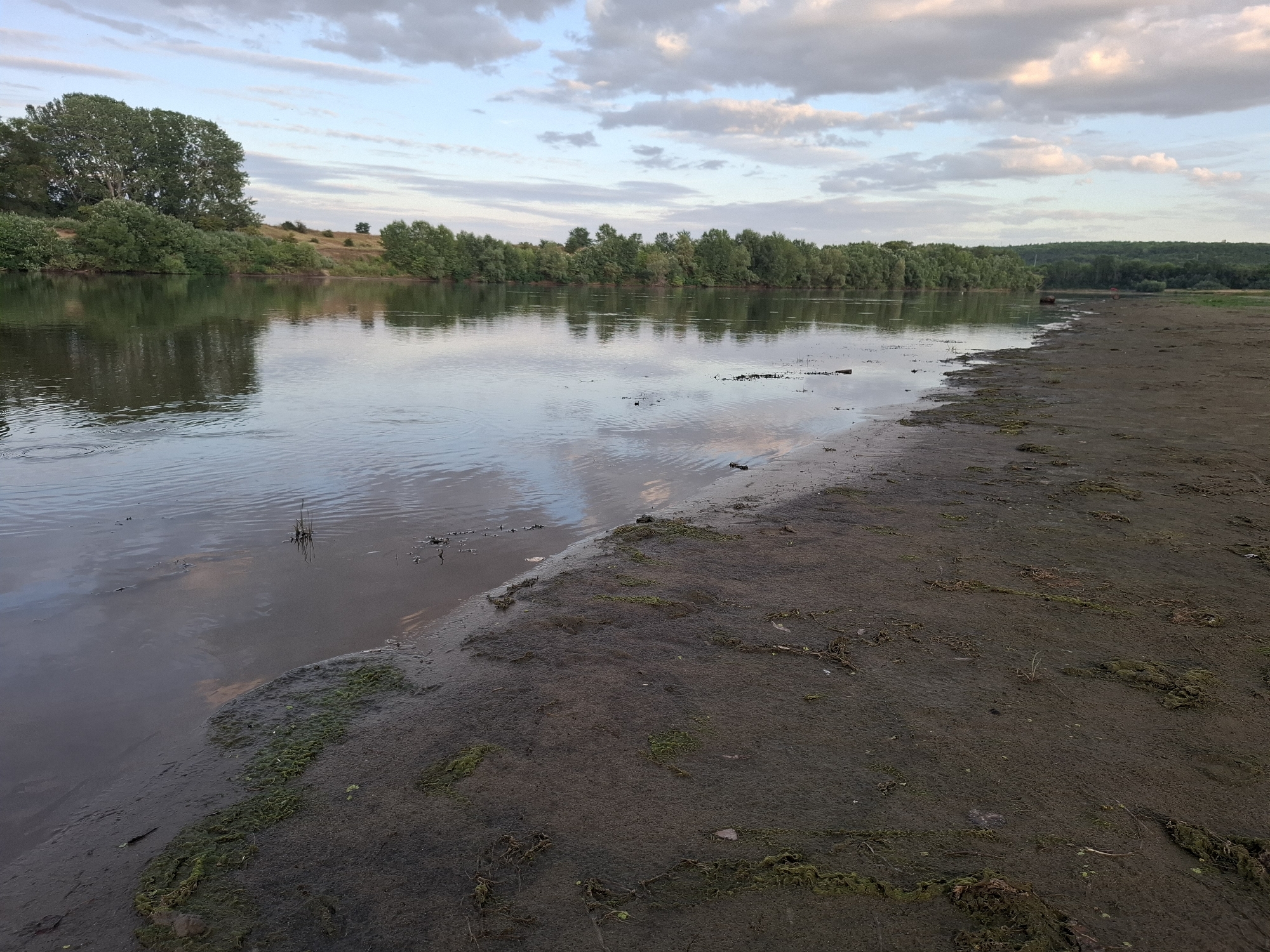 A wide, calm river flows through a natural landscape under a cloudy sky. The riverbank in the foreground is muddy and partially covered with green algae. Dense trees and vegetation line the opposite bank, with a gently sloping hill visible in the distance. The scene appears to be in Dubăsarii Vechi, Moldova, during what appears to be late afternoon or early evening.