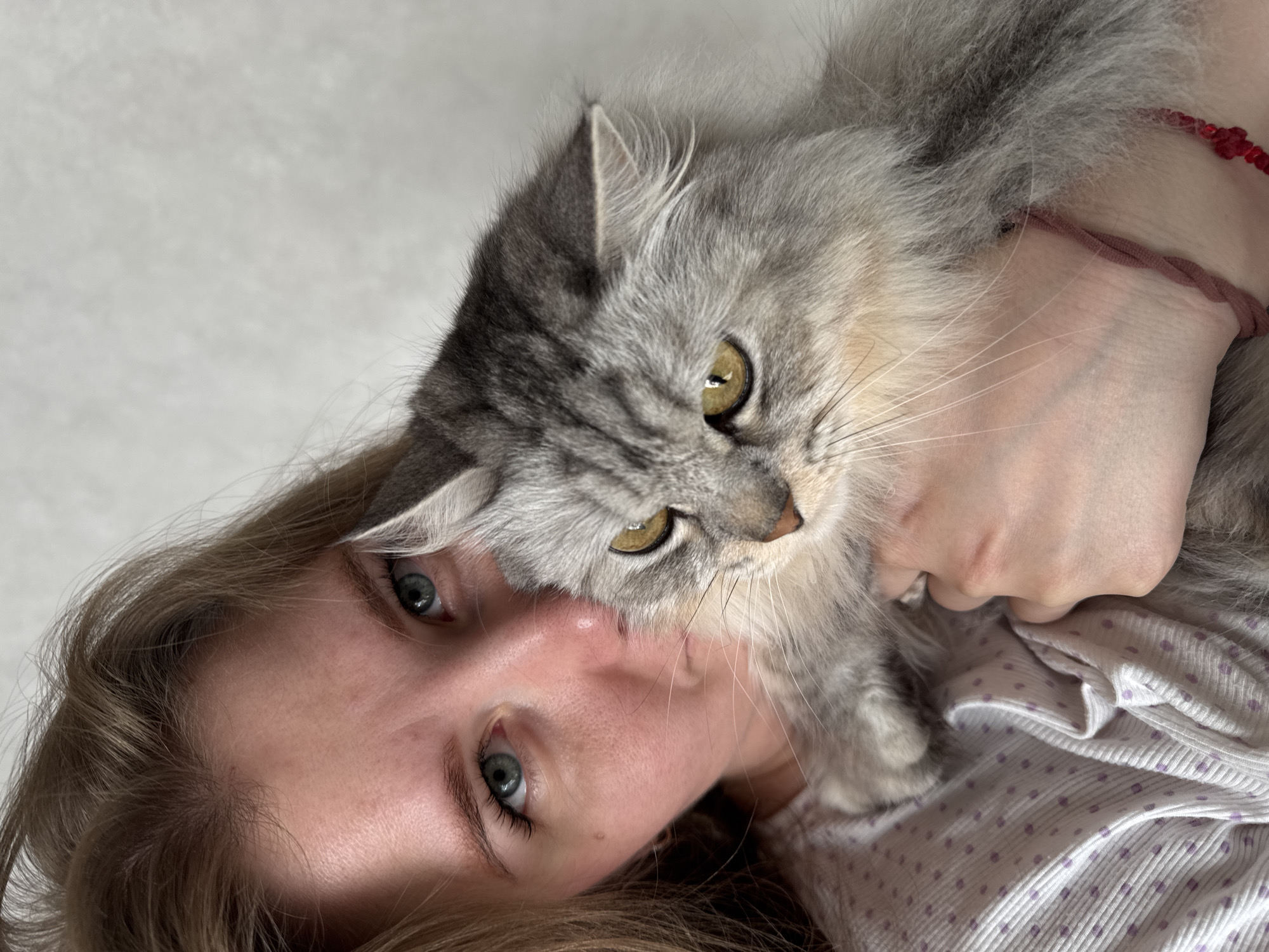 A tilted, close-up image captures a person and a long-haired grey tabby cat in a domestic setting. The person, who appears to be a woman with light brown hair and blue-green eyes, is seen lying down, looking directly at the camera. Her face and part of her shoulder, clad in a light-colored top with subtle purple polka dots, are visible. She wears a red beaded bracelet and a brown braided band on her arm, which is wrapped around the cat.
The fluffy grey cat, with striking green-yellow eyes and prominent whiskers, is nestled closely to the person's face and neck. Its head is near the center of the frame, looking slightly to the right. The interaction appears affectionate and calm, highlighting the close bond between the person and the feline.
The background is a plain, light grey or white surface, suggesting an indoor environment. The lighting is soft and even, indicative of daytime. No text is visible in the image. The scene depicts a peaceful moment of companionship in what appears to be Gornyi (Dvurechenskoe S/P), Russia.