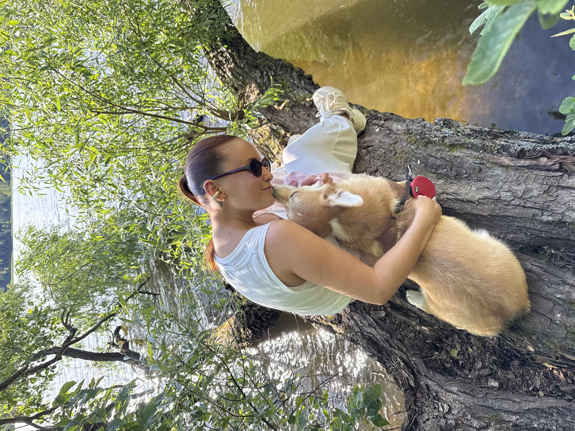 A young woman with dark hair pulled back in a ponytail and sunglasses sits on a fallen tree trunk near a body of water. She is wearing a white tank top and white pants. She is holding a light-colored dog, possibly a Shiba Inu or a similar breed, and appears to be nuzzling it. The dog is looking up at her. The scene is outdoors, with lush green foliage surrounding the tree and water. The water reflects the sunlight, creating a shimmering effect. The image appears to be taken during the day, with bright sunlight filtering through the leaves. The woman's expression suggests a moment of affection and connection with her pet. The tree trunk is rough and textured, indicating it is an old, fallen tree. A red retractable dog leash is visible in the woman's hand. The location appears to be a natural setting, possibly a park or a lakeside area. The water's color suggests it may be a river or a lake. No visible text is present in the image.