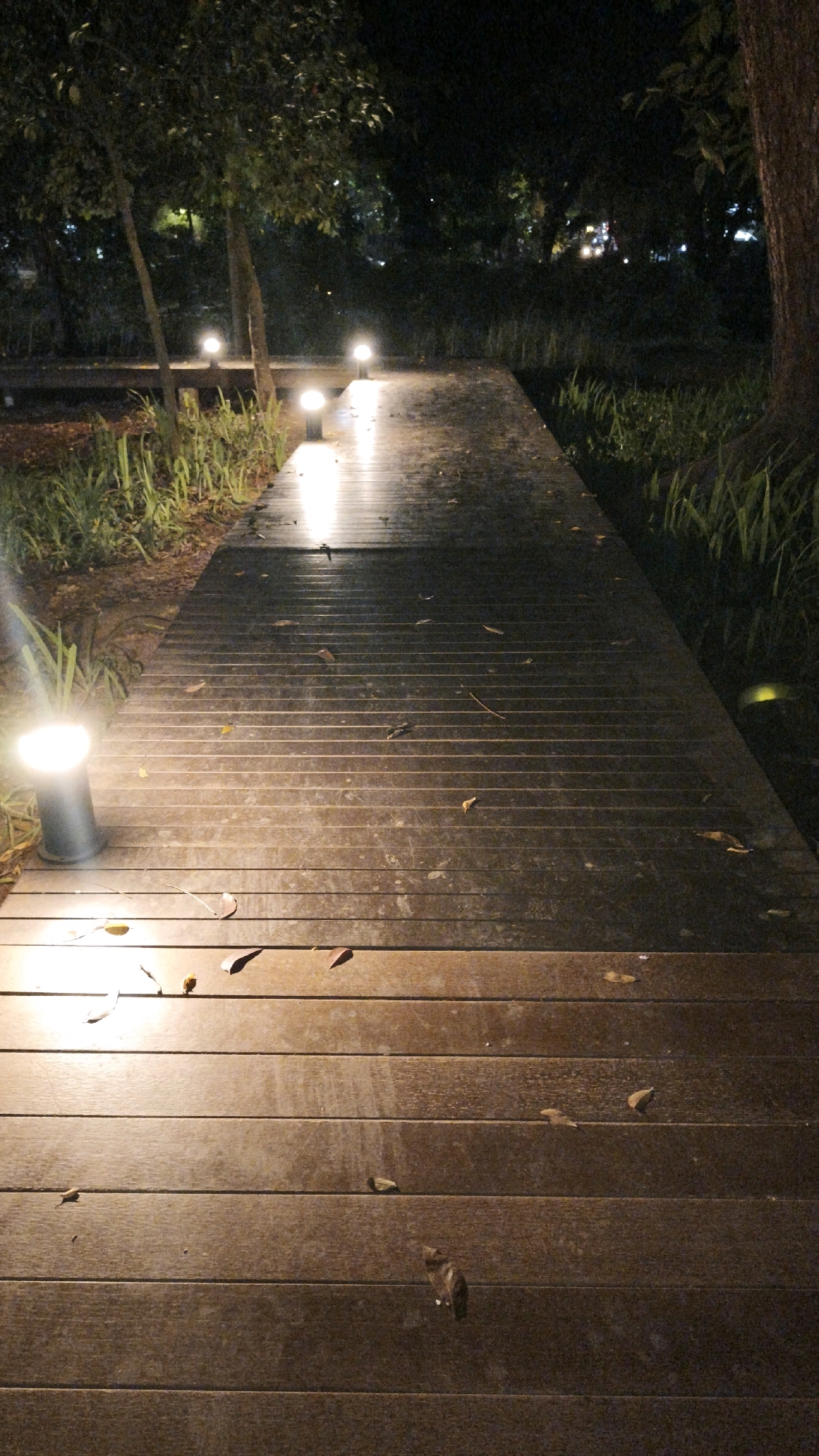 An illuminated wooden boardwalk winds through a park at night in South Jakarta, Indonesia. The boardwalk, constructed of dark wooden planks, is wet and reflects the light from several modern, cylindrical ground lamps placed along its left side. Scattered leaves are visible on the boardwalk's surface. Lush green foliage flanks the boardwalk on the left, and taller trees with dark trunks are present. On the right, more dense, tall green grass and the rough bark of a large tree are visible. In the background, a dark, indistinct area suggests more trees and possibly distant lights, hinting at the urban environment beyond the park. The lighting creates a dramatic and somewhat mysterious atmosphere.