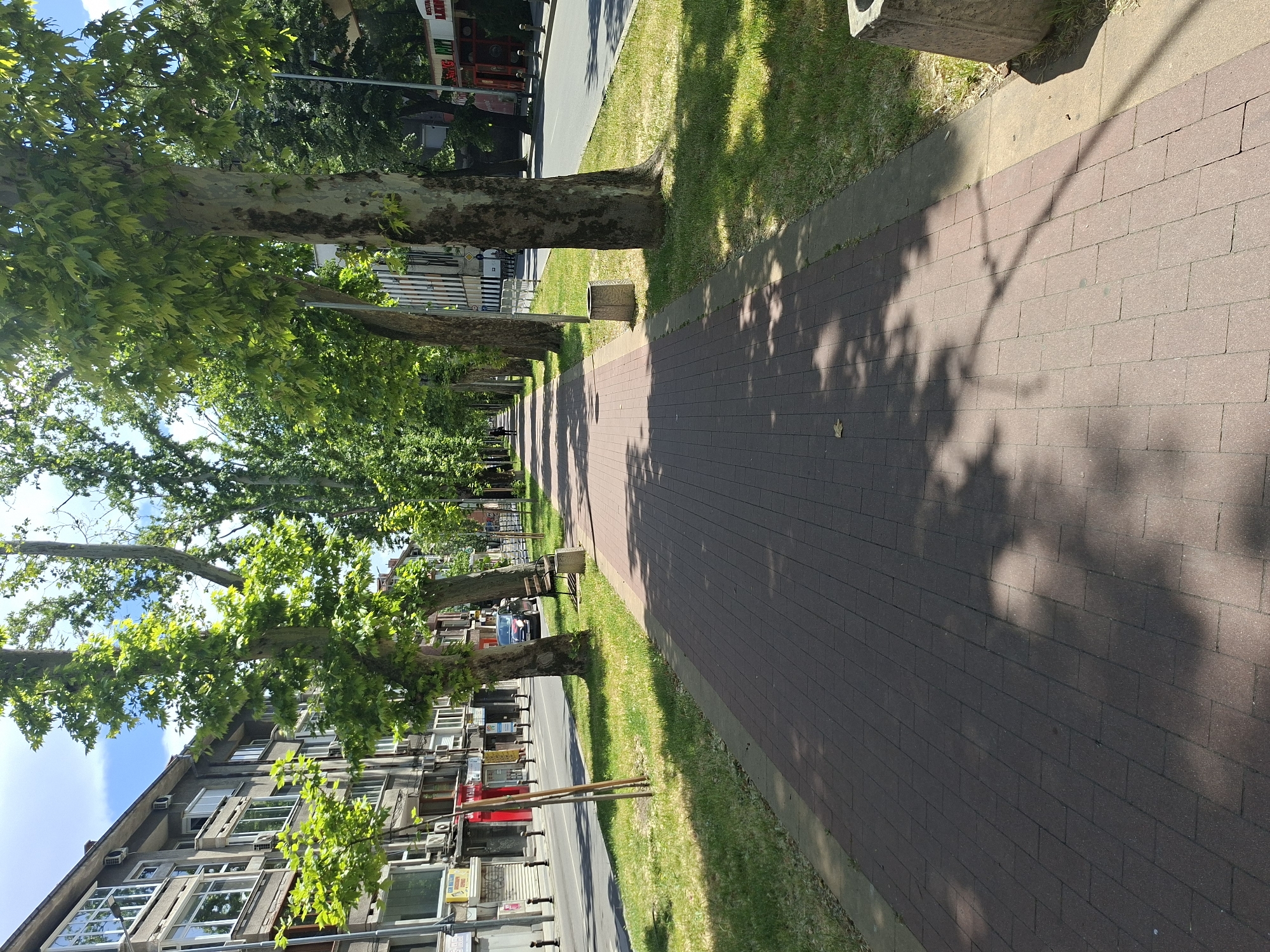 The image depicts a street scene in Plovdiv, Bulgaria. A brick-paved sidewalk stretches into the distance, dappled with shadows from the trees lining the street. Adjacent to the sidewalk is a strip of green grass. On the left side of the frame, apartment buildings are visible, with multiple windows and air conditioning units. Trees with green foliage are planted along the sidewalk, their trunks positioned between the sidewalk and the street. The street itself is partially visible and lined with parked cars.