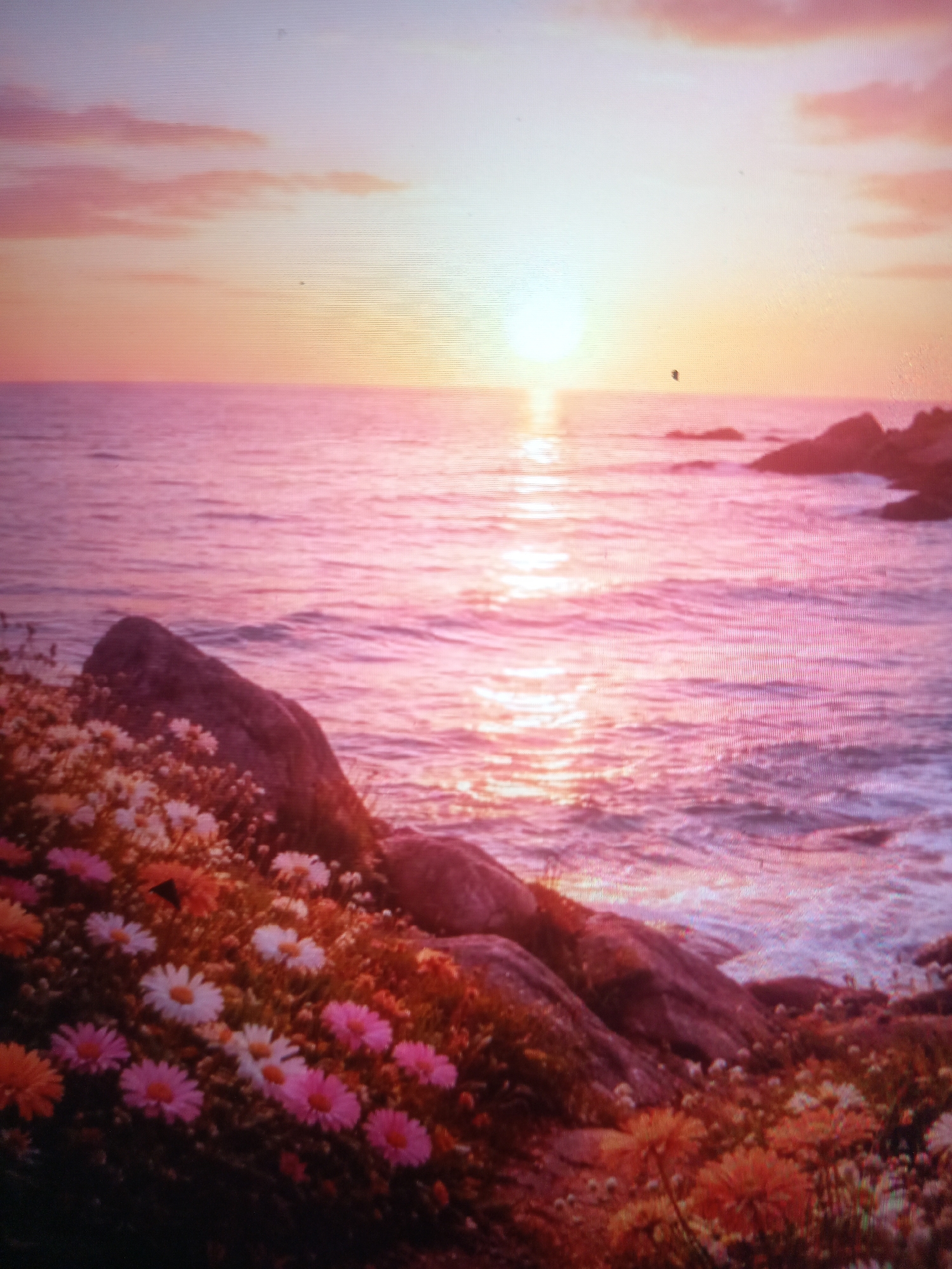 This is a photograph of a coastal sunset scene. The sun is low on the horizon, casting a warm, golden glow across the water and sky. The ocean is a deep pink and purple, with gentle waves lapping at the shore. On the left side of the image, there is a rocky outcrop covered in a carpet of small, colorful flowers. The flowers are predominantly white and pink, with some yellow and orange ones mixed in. The overall mood of the image is peaceful and serene, evoking a sense of tranquility and beauty. The time of day is clearly sunset, and the weather appears to be clear and calm. The location is a coastline, likely a beach or a rocky shore, with the ocean stretching out to the horizon. There are no people or text visible in the image.