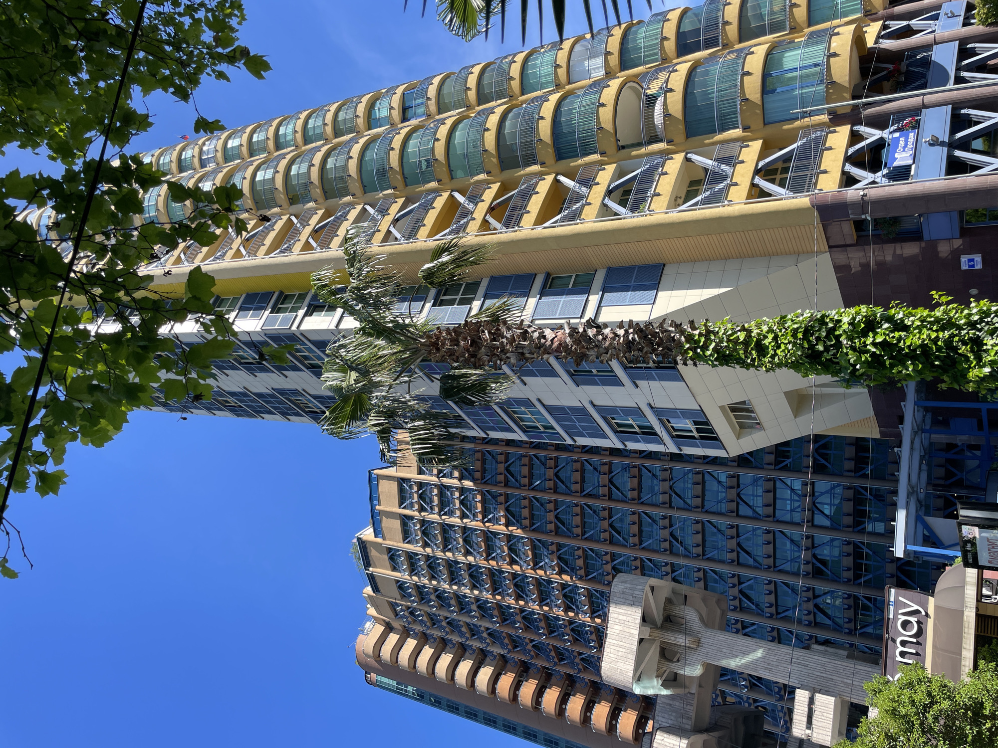 The image presents an upward perspective of modern buildings against a clear, vibrant blue sky, indicative of a sunny day in an urban setting, consistent with Sochi, Russia.
Dominating the upper right side of the frame is a multi-story building painted in a light yellow or beige hue. Its most striking feature is several tiers of semicircular, glass-enclosed balconies or bay windows on its upper levels. Below these, the facade displays a pattern of diagonal support structures interspaced with windows. A blue sign with white text is affixed to this building.
To the left and slightly lower, another tall building rises, characterized by its blue-glass facade. This structure features a grid-like pattern across its windows and visible 'X'-shaped elements, suggesting structural bracing or a decorative motif. Portions of this building also incorporate concrete-colored sections. A black sign displaying the word "may" is visible on a lower part of this complex.
Lush green foliage adds a natural element to the scene. Deciduous tree leaves partially frame the upper-left corner of the image. A tall palm tree, with its rough, textured trunk and vivid green fronds, stands prominently in the mid-left, reaching towards the sky. In the lower foreground, a dense horizontal strip of green, leafy climbing plant, possibly ivy, provides a verdant contrast to the urban structures.
The clear, bright blue sky suggests pleasant weather. Visible text includes "Строй | Продаж" (Construction | Sales) on the blue sign on the yellow building, and "may" on the black sign on the lower building.