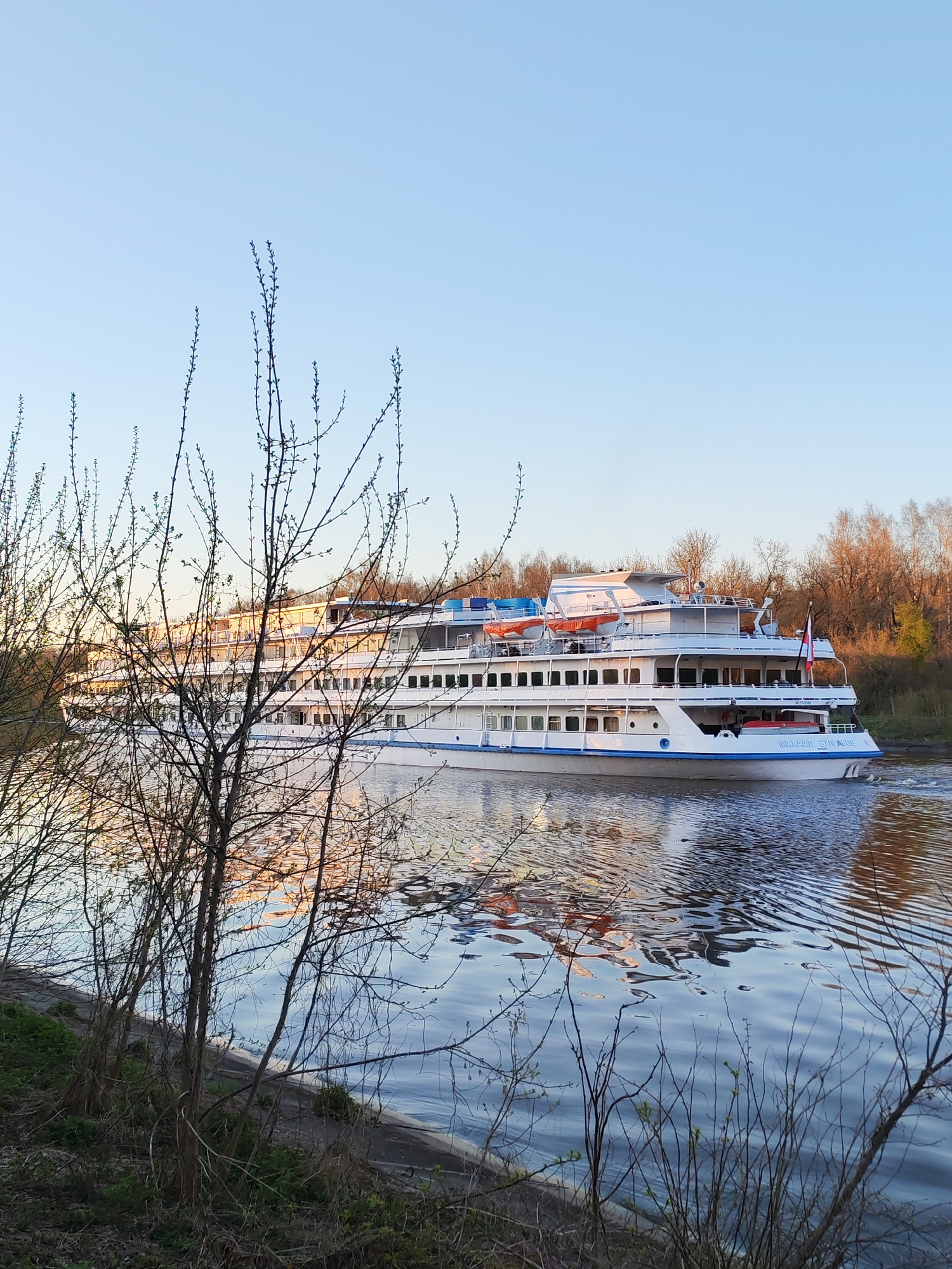 The image depicts a large, white, multi-decked passenger river cruise ship traveling on a waterway. The ship is oriented toward the right of the frame and occupies the central portion of the composition. Its reflection is visible in the water. The Russian flag is displayed at the stern.
The foreground features vegetation, including bare-branched trees and some green ground cover, partially obscuring the view. The water occupies the lower half of the image and shows the ripples and reflections of the ship and surrounding landscape. The background shows a treeline with bare trees, indicating a possibly early spring or late autumn season.
The clear sky suggests a fair weather day. The overall setting appears to be a waterway near Yakhroma, Russia.
