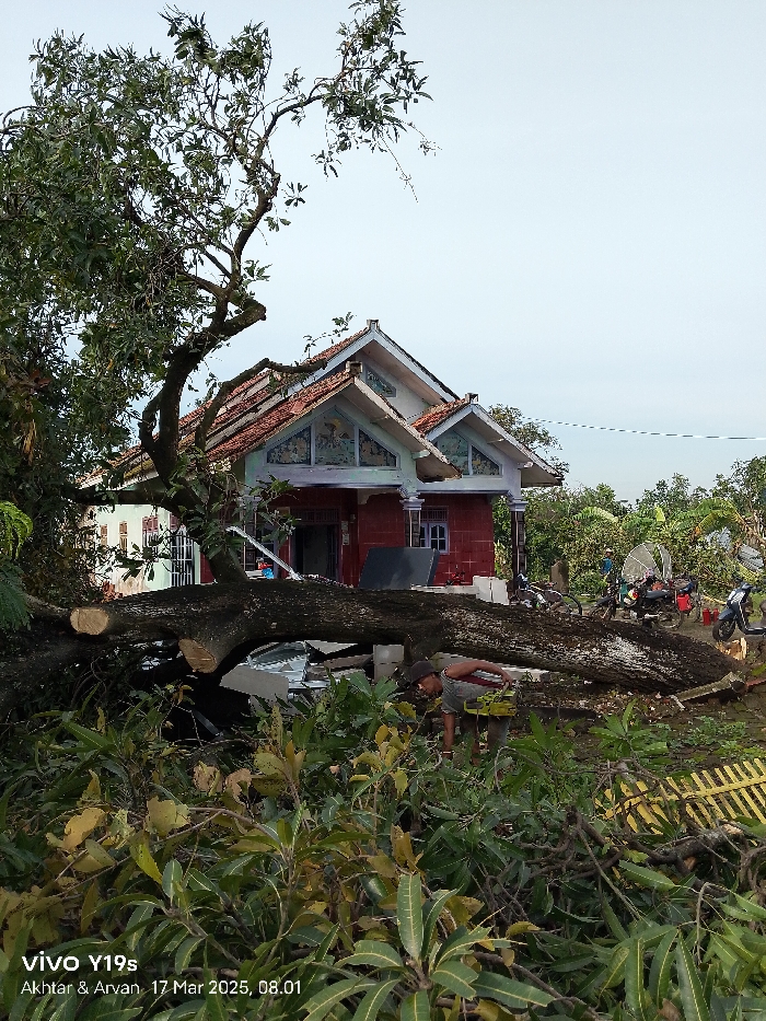 A large tree trunk has fallen onto the roof of a two-story residential building in Kecamatan Anjatan, Indonesia. The house is constructed with concrete, white stucco, and a red tile roof. The tree has landed on top of a white car parked in front of the house. A man wearing a blue shirt and a red vest is working to clear the debris. Thick green foliage is growing in front of the house. The sky is clear and light blue with a few white clouds.