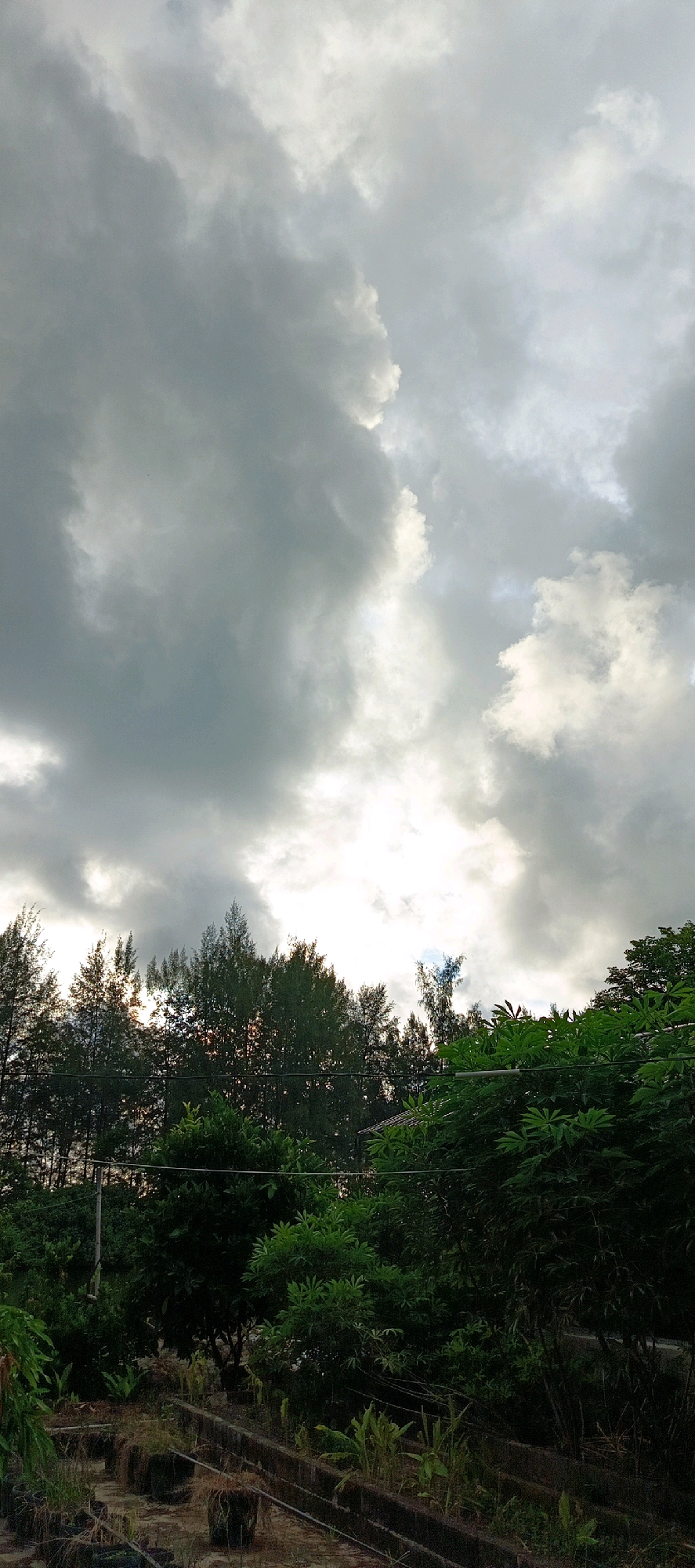 The image depicts an outdoor scene with a dramatic sky and lush vegetation. The sky is filled with heavy, dark gray clouds, with pockets of bright white light breaking through, suggesting either dawn, dusk, or an impending storm. A line of trees forms a dark silhouette against the sky. The foreground consists of dense green foliage, including trees with leafy branches and some smaller plants. There are also some visible man-made structures, possibly raised garden beds or planters, with what appears to be soil and some dry plant material within them. The overall impression is one of natural beauty with a somewhat ominous or dramatic sky. The location is identified as Meunasahmesjid, Indonesia. There are no people or specific actions visible in the image.