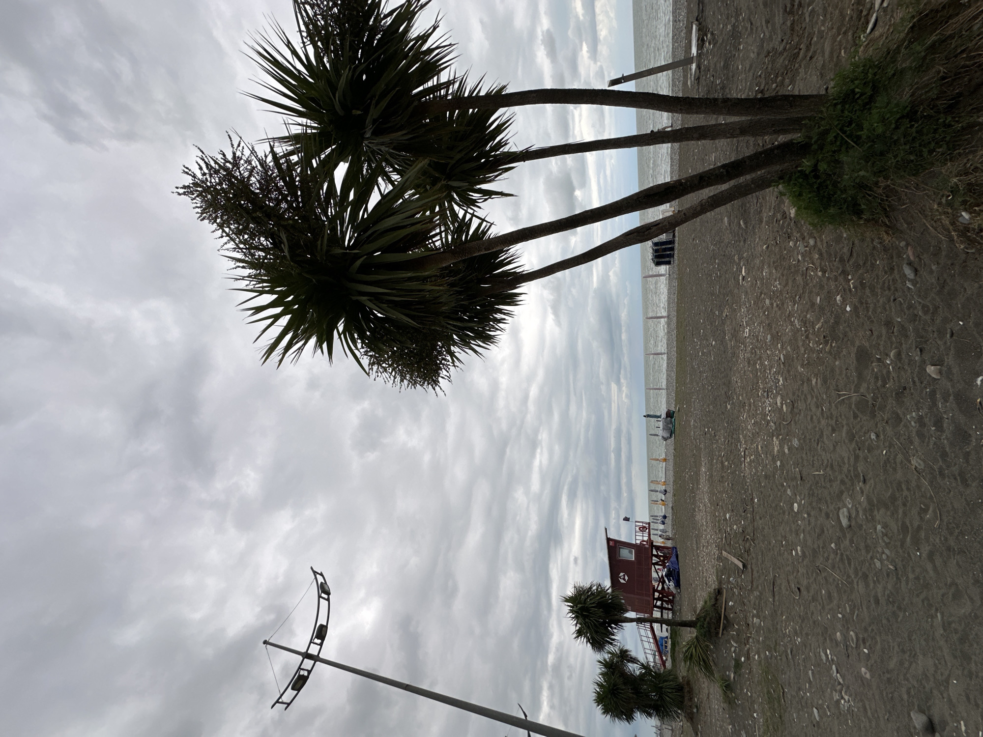The image shows a cloudy day at a beach in Batumi, Georgia. In the foreground, three palm trees are on the right side of the frame. A black sand beach stretches to the left, with scattered pebbles and driftwood. A tall lamp post is on the left side of the image. Further down the beach, a red lifeguard station with a ladder is visible. Several beach chairs and umbrellas are set up near the water. The sea meets the horizon under a heavy, overcast sky.