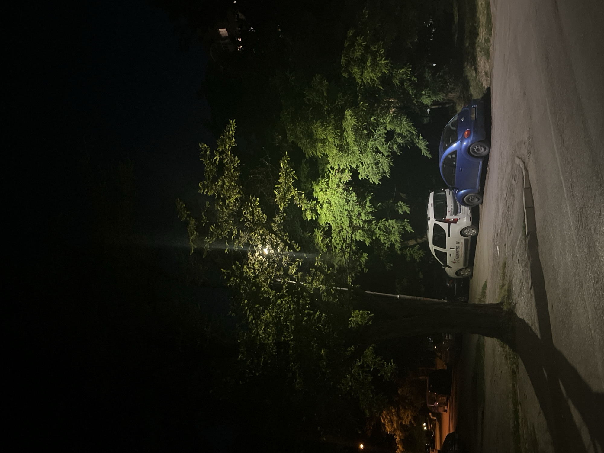 In this nighttime photograph, taken in the city of Sofia, Bulgaria, a street is illuminated by a lamp post casting a bright green light on the surrounding foliage of a large tree. The street is paved with asphalt and bordered by a sidewalk. Two cars are parked on the side of the street: a white van with a logo that reads "GRANITEX-IV" and a blue Volkswagen Beetle. The background is dominated by dark trees and foliage, with the faint silhouette of a building visible in the upper right corner. The overall scene suggests a quiet residential area at night.