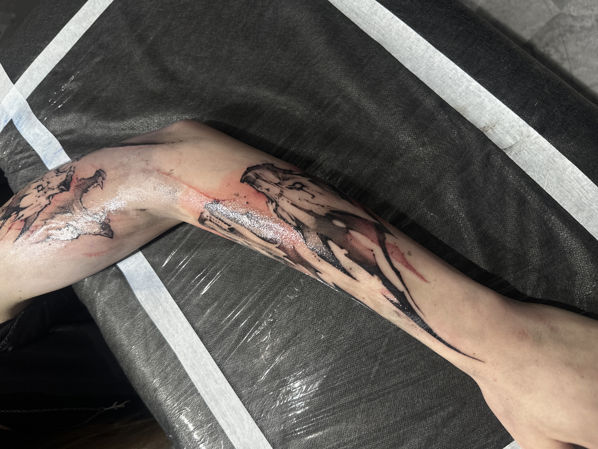 An overhead, close-up shot captures a person's left arm, likely a forearm, resting on a black surface covered with a clear plastic film. The arm features a newly applied or in-progress tattoo, stretching from near the elbow towards the wrist. The tattoo is an intricate, abstract design primarily in black ink, with some areas appearing red, indicating fresh work or irritation, and a glossy sheen from aftercare products or fresh plasma. The design incorporates sharp, angular shapes, resembling a stylized creature or mythical figure with a head-like form on the upper arm and a tapering tail-like element extending towards the wrist. The skin around the tattoo shows redness and a wet, shiny appearance, characteristic of a fresh tattoo. The black surface underneath the arm is textured and has two prominent parallel white stripes, possibly tape securing a protective covering or part of the studio equipment. The setting appears to be indoors, likely a tattoo studio in Moscow, Russia, with artificial lighting illuminating the scene. No discernible text is visible.