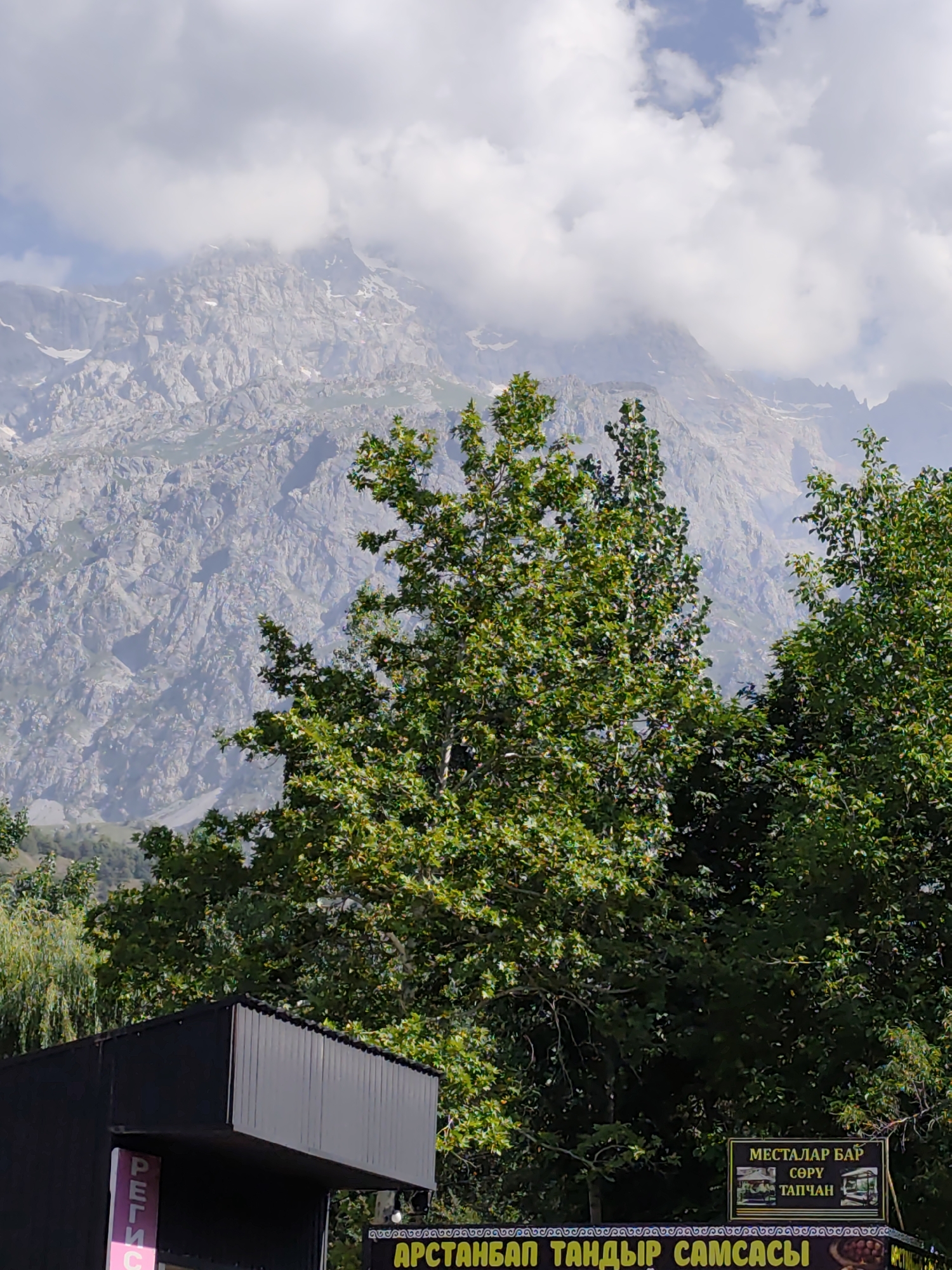 The image depicts a mountainous landscape in Arstanbap, Kyrgyzstan, characterized by rugged, rocky peaks partially obscured by clouds. In the foreground, lush green trees, predominantly deciduous, dominate the view, with their leaves appearing full and vibrant. Below the trees, a dark, metallic structure with corrugated roofing is visible, suggesting a kiosk or small building. A vertical sign with pink lettering, appearing to be "РЕГИС", is attached to the left side of this structure. To the right of the metallic structure, a yellow sign with dark lettering displays text in what appears to be Cyrillic script, with the words "МЕСТАЛАР БАР", "СӨРУ", and "ТАПЧАН" prominently visible. Below this, another prominent yellow sign with dark text reads "АРСТАНБАП ТАНДЫР САМСАСЫ". The overall scene conveys a natural, possibly tourist-oriented setting, given the presence of signage related to food and local offerings.