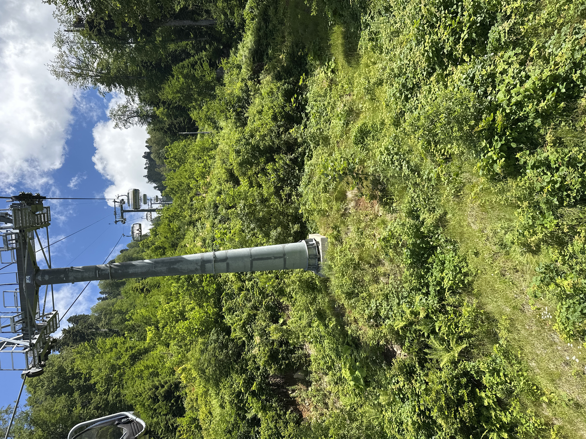 An eye-level, medium shot captures a perspective from a cable car ascending a lush, green mountainside under a partly cloudy blue sky. The cable car's support pole, a tall, metallic structure with a conical base, dominates the right half of the frame. It is situated on a concrete foundation amidst dense vegetation. In the background, the cable car line continues upwards, with several empty cabins visible, strung along a thick steel cable. The mountainside is covered in a dense carpet of vibrant green foliage, including various types of trees, bushes, and ferns, with patches of dry grass interspersed throughout. The sunlight highlights the textures and depths of the vegetation, creating a dynamic contrast between light and shadow. The overall scene evokes a sense of natural beauty and recreational activity.