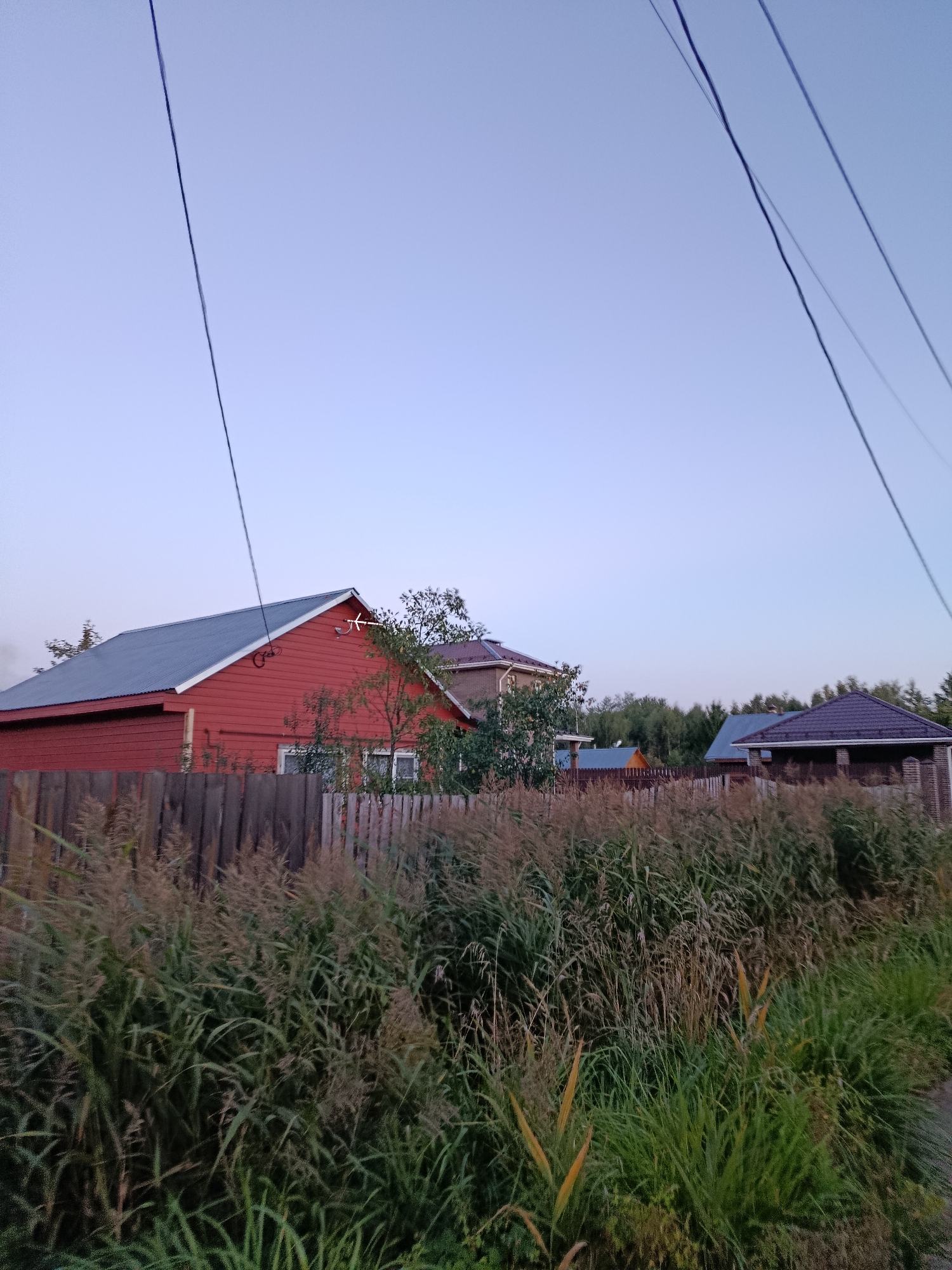 The image captures a residential area in Vereya, Russia, characterized by a clear, pale blue sky and the presence of utility wires crisscrossing the upper portion of the frame. In the foreground, tall, dry grasses and lush green vegetation line a wooden fence that extends horizontally across the scene. Beyond the fence, several houses are visible. The most prominent is a long, red wooden house with a grey metal roof, featuring several windows. To the right of this house, another residential building with a dark-tiled roof and brickwork is partially visible, along with a smaller structure that appears to be a shed or outbuilding with a similar dark roof. In the background, a dense line of trees creates a natural boundary. The overall impression is of a quiet, rural or suburban setting. There are no people or animals visible in the image.