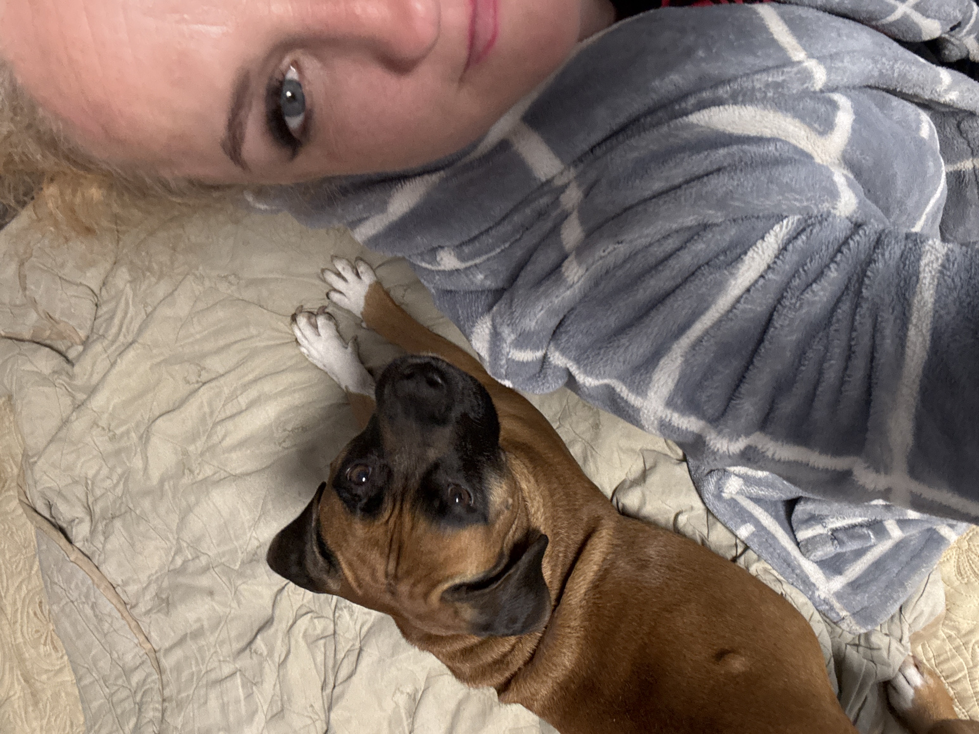 An overhead shot captures a person and a dog relaxing together indoors, likely on a bed or couch.
The upper part of a person's face is visible in the top left quadrant of the image. She has light-colored hair, blue eyes, and is looking directly at the camera. Her face is angled, with part of her forehead, eye, and nose clearly seen, and a hint of her mouth with possibly light pink lipstick. A grey, soft, fluffy blanket with a white grid pattern is draped over her body, covering her from the neck down.
Next to the person, in the lower right portion of the image, is a medium-sized dog, possibly a Boxer or similar breed. The dog has short, brown fur, a black muzzle, and white paws. It is lying on its back or side with its head tilted upwards, looking towards the camera with a curious or gentle expression. The grey patterned blanket partially covers the dog's body as well.
Both the person and the dog are resting on a light-colored, possibly beige or off-white, quilted blanket or comforter that covers the surface beneath them. The overall scene suggests a calm and comfortable moment, possibly during leisure time. There is no visible text in the image.