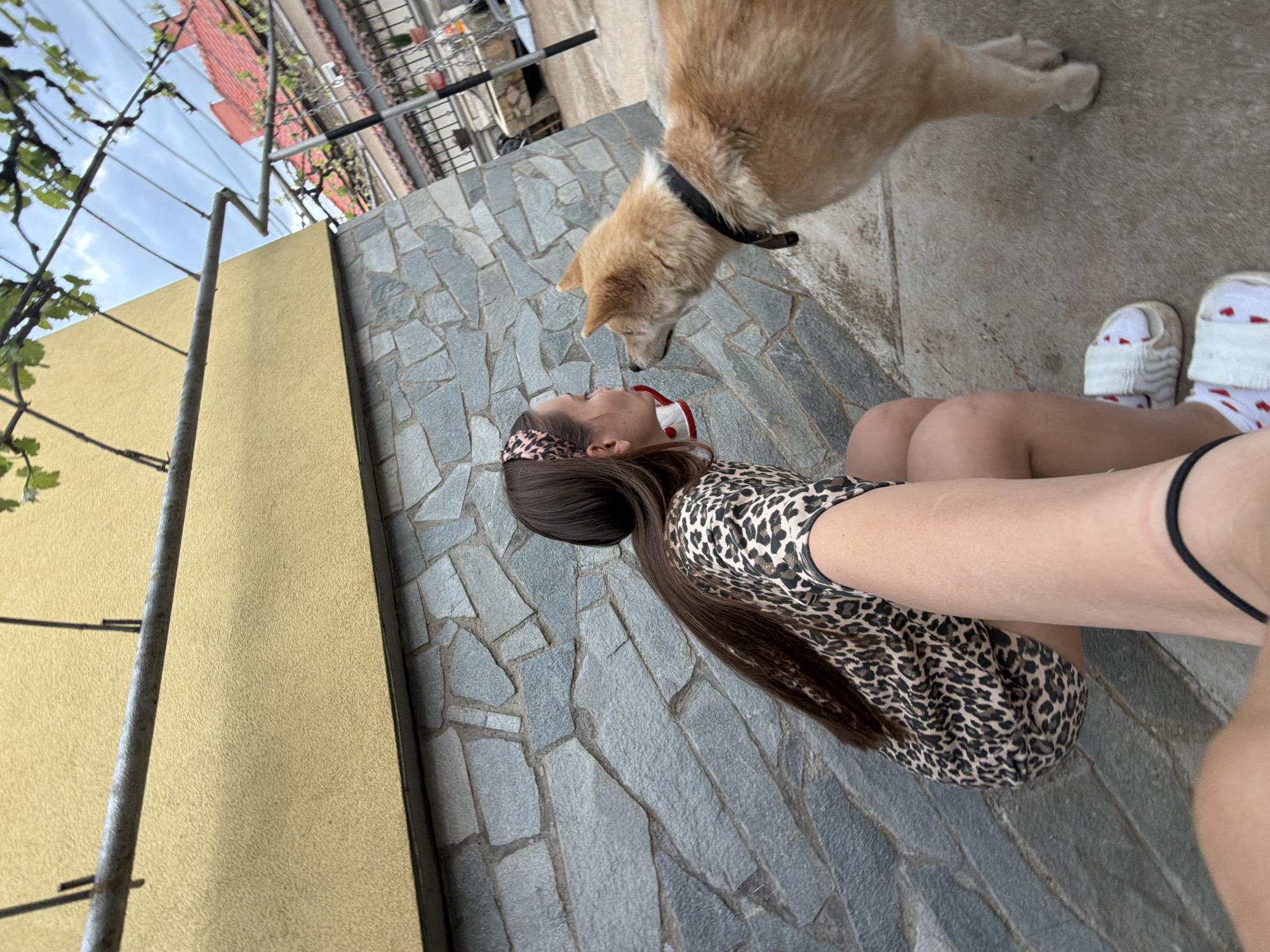 A woman with long brown hair, wearing a leopard print top and headband, is lying on a stone-paved surface. A dog with a black collar is sniffing her face. The woman is wearing white socks with red hearts. The location is Buhovo, Bulgaria. The environment consists of a yellow wall and a building visible in the background.