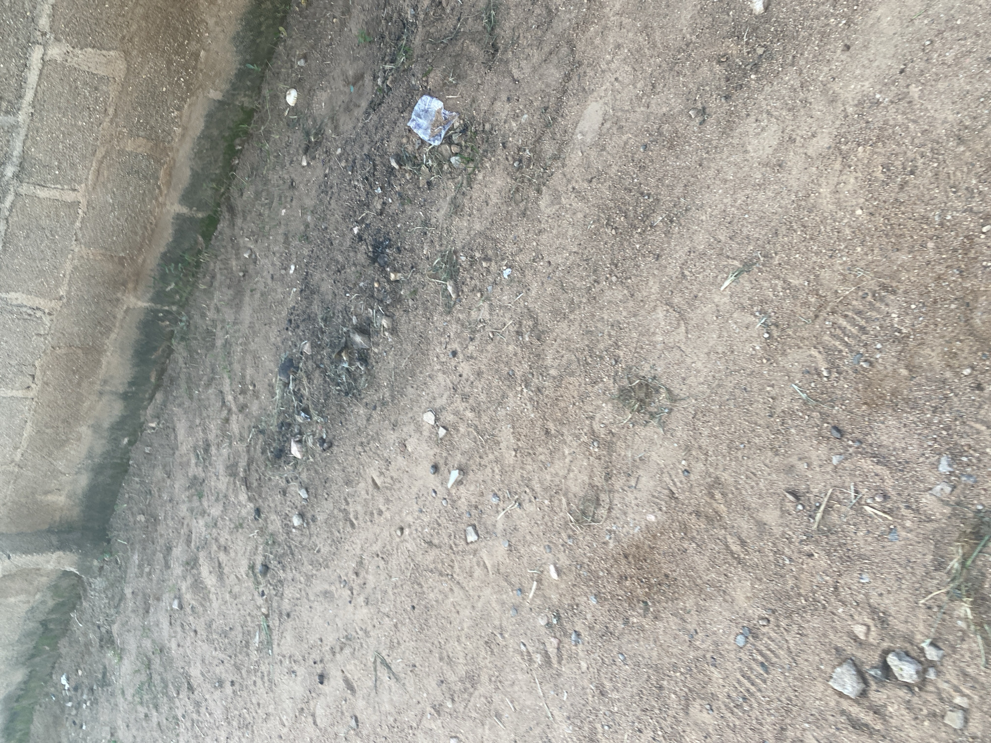 The image shows a patch of dirt ground with scattered pebbles and a few blades of dry grass. A small piece of white plastic debris is visible in the upper middle portion of the frame. To the left, a portion of a textured brick wall runs diagonally across the image, suggesting an outdoor setting. The ground appears dry and dusty. There is no discernible activity or event taking place; the scene is static and appears to be a ground-level view of an unkempt area. The lighting suggests it is daytime, but no specific time can be determined. No text is visible in the image. The location context is Jalingo, Nigeria.