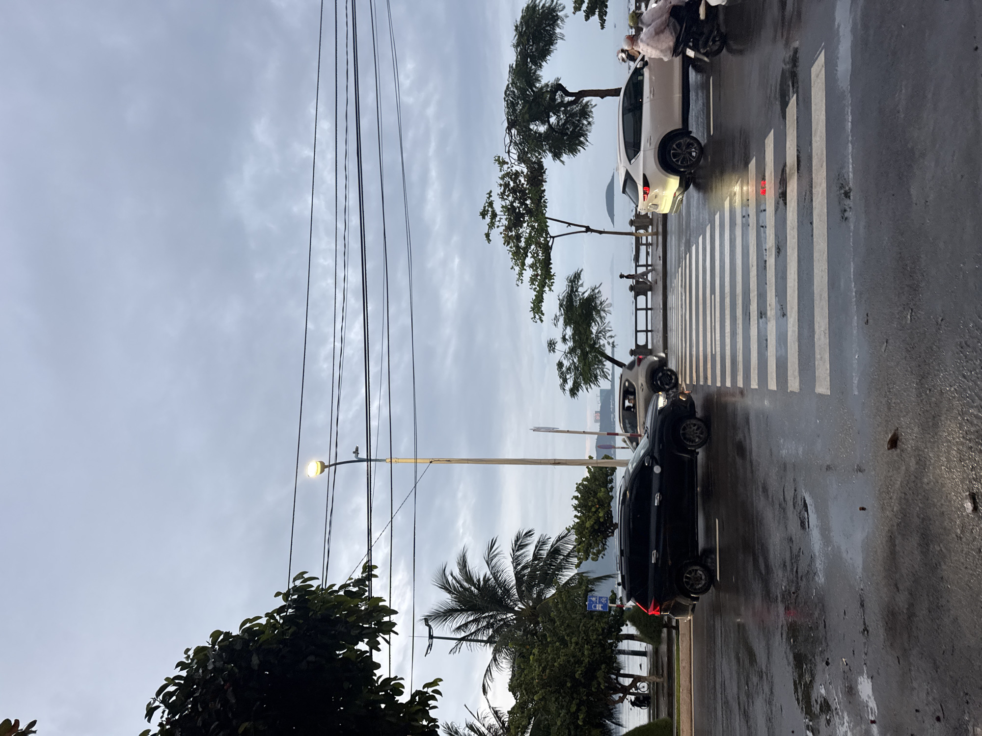 The image shows a street scene in Bac Nha Trang Ward, Vietnam, on a wet day. A black car is stopped on the right side of the frame, with its taillights visible. A white car is positioned on a pedestrian crossing, facing away from the viewer. Two people can be seen near the white car, possibly on a scooter. The street is wet and reflects light. Palm trees and other greenery line the road near the sea and a railing. A tall street lamp stands next to the street. Overhead power lines run across the sky. The sky is cloudy.