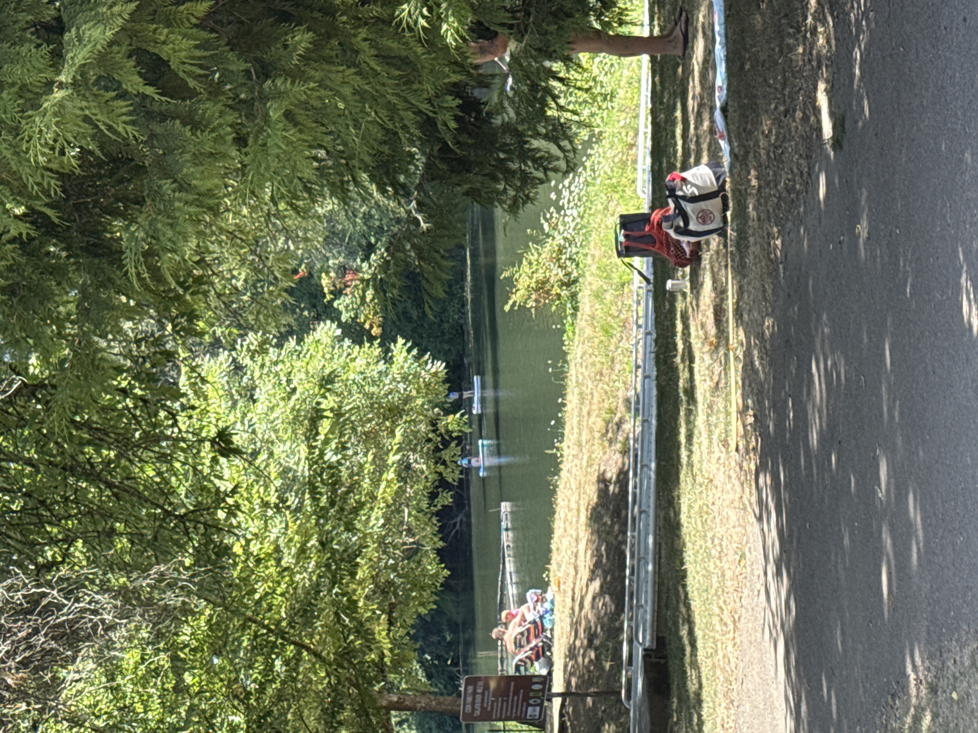 The image shows a sunny day at Cook Family Park in Tigard, Oregon. The Tualatin River flows through the park, and several people are enjoying the water. In the foreground, there are beach chairs, bags, and a blanket on the grassy bank. In the distance, people are paddleboarding on the river. The park is surrounded by lush green trees, providing shade. A sign on the left indicates park rules and regulations.