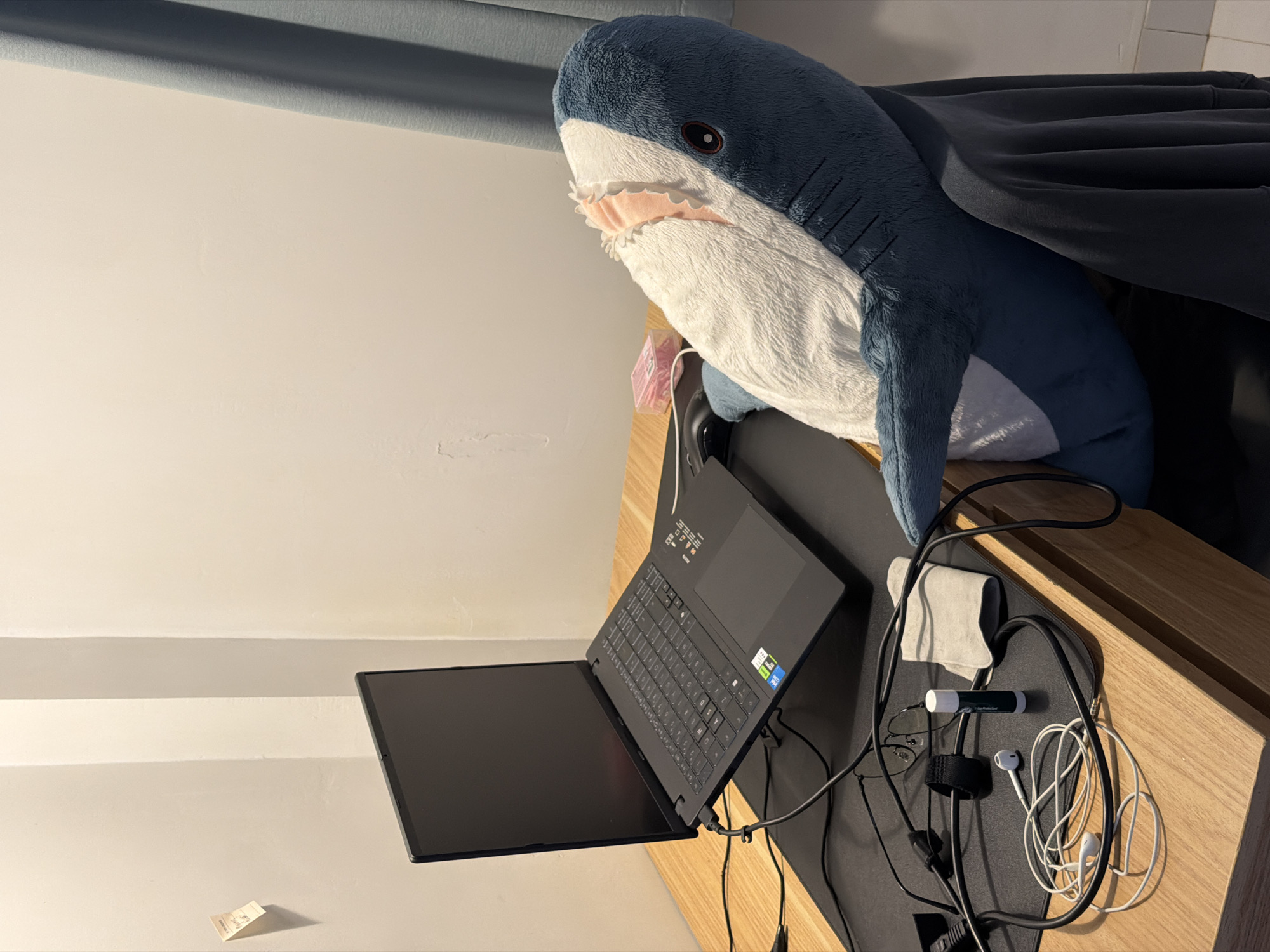 A plush shark sits beside an open laptop on a wooden surface. The laptop is black, with visible keys and stickers. A grey cloth, earphones, glasses, and a tube of lip balm are scattered near the laptop. The background consists of a light-colored wall and a blue curtain. The setting appears to be indoors. Location cannot be determined with the given information.