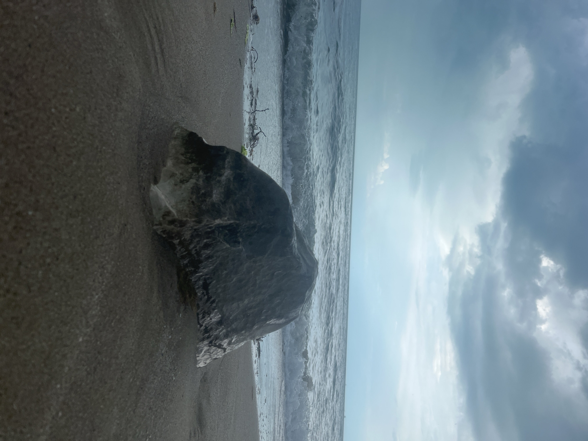 This image depicts a beach scene in Varna, Bulgaria. A large, gray rock is situated on the sandy shore in the foreground. The sea, with small waves, stretches towards the horizon under a cloudy sky. There are no people visible. Some seaweed or debris is seen near the waterline.