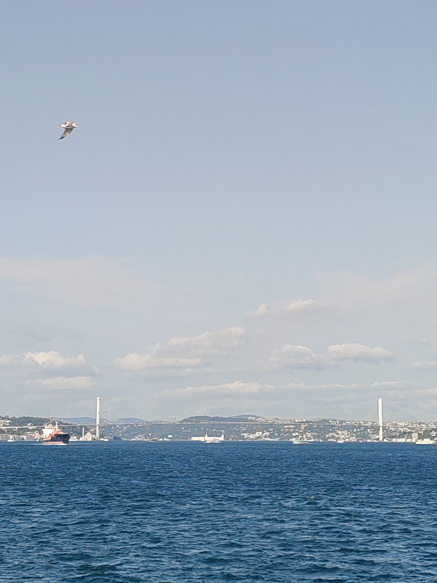 A lone seagull flies in the upper left quadrant of the frame against a pale blue sky. The middle ground of the image features a wide expanse of blue water, with visible ripples indicating movement. On the horizon, a cityscape with buildings is visible, punctuated by two large suspension bridges. The bridge on the right is the Bosphorus Bridge, also known as the 15 July Martyrs Bridge, a prominent landmark in Istanbul, Turkey. A cargo ship is visible in the left-center of the frame, navigating the water. The sky is partly cloudy, with fluffy white clouds scattered across the upper half of the image.
