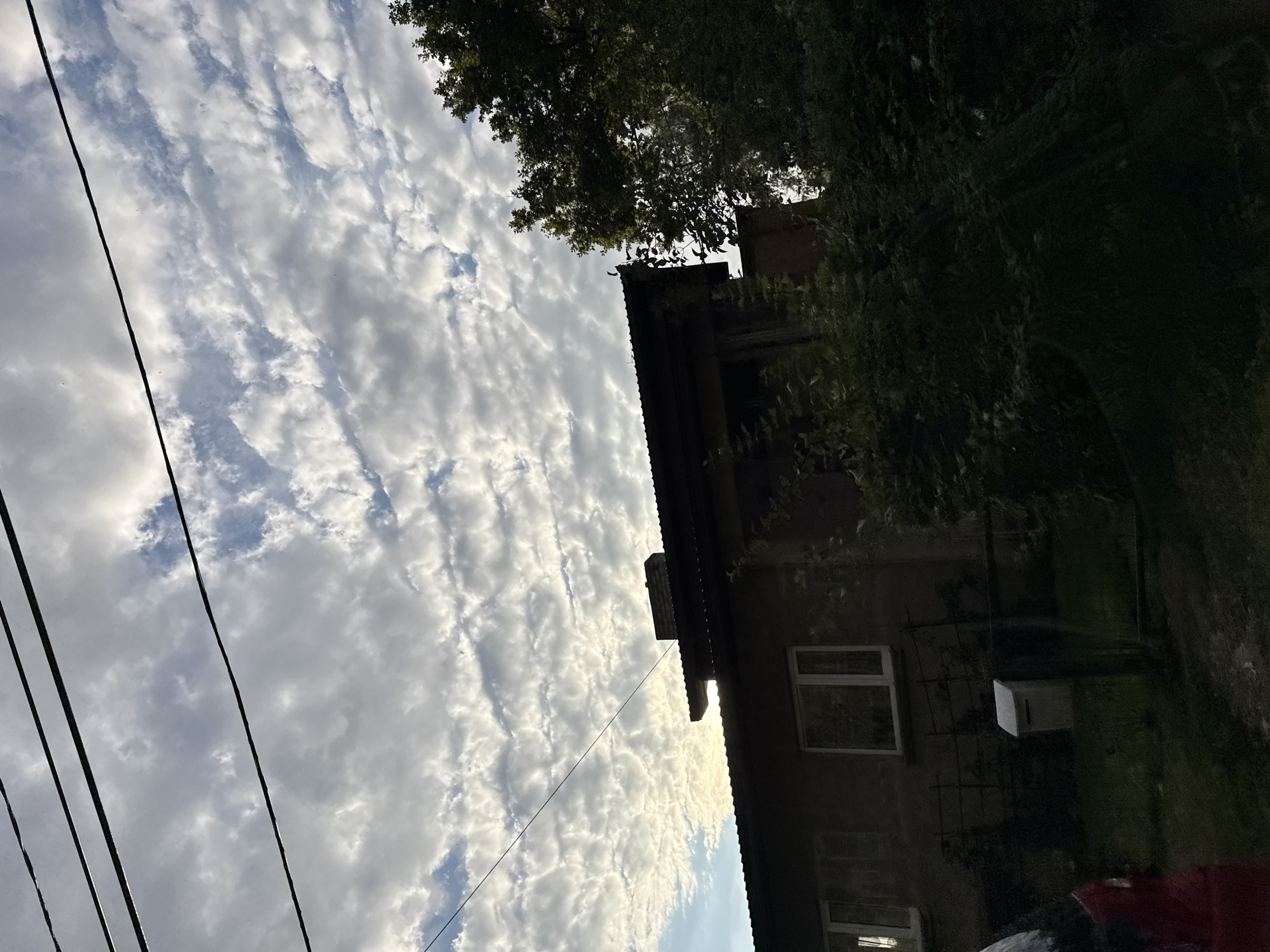 The image shows a low-angle view of a residential building and its surroundings, under a sky filled with altocumulus clouds. The building appears to be a two-story structure with a dark, sloped roof and dark-colored walls. There are windows visible on the front facade, one with a white frame. A white mailbox is positioned in front of the building, surrounded by greenery and a fence. A large, dark green tree with dense foliage is situated to the right of the building, partially obscuring it. Overhead, several power lines are visible against the cloudy sky. The foreground on the left shows a blurred portion of a red vehicle. The scene appears to be a residential area in Tallinn, Estonia, possibly during overcast weather.