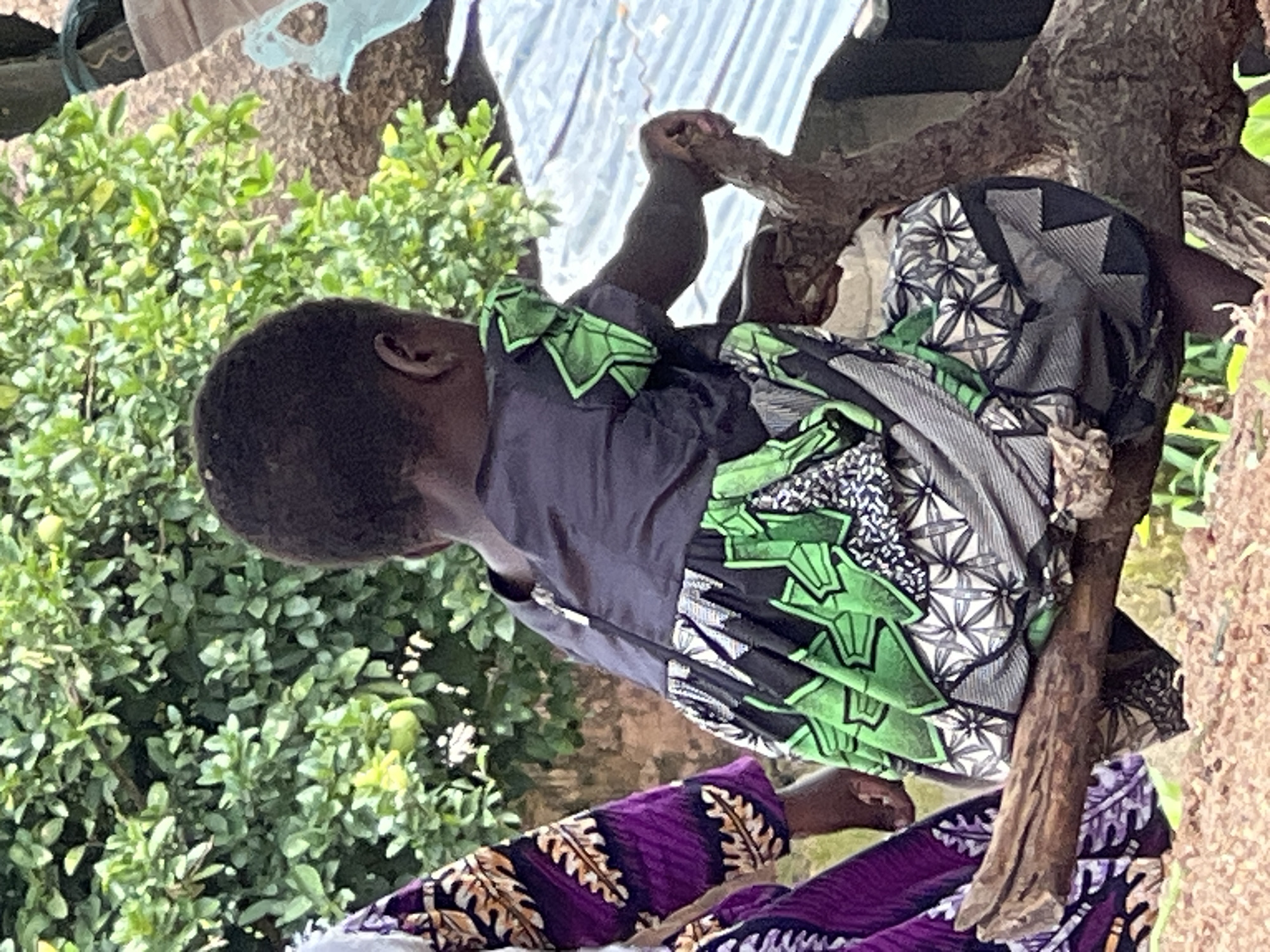 A young child with dark hair is seen from the back, wearing a dress with a black top and a skirt featuring a geometric pattern in green, gray, and white. The child is seated on a log, holding onto a branch with their right hand. To the left, another person is partially visible, wearing a purple garment with an intricate gold and white pattern. Behind the child, lush green foliage forms the background, with a corrugated metal roof visible to the right. The ground appears to be covered in dry earth and small stones. The scene is outdoors, suggesting a rural or semi-rural setting, potentially within the city of Jos, Nigeria, given the context of the request.