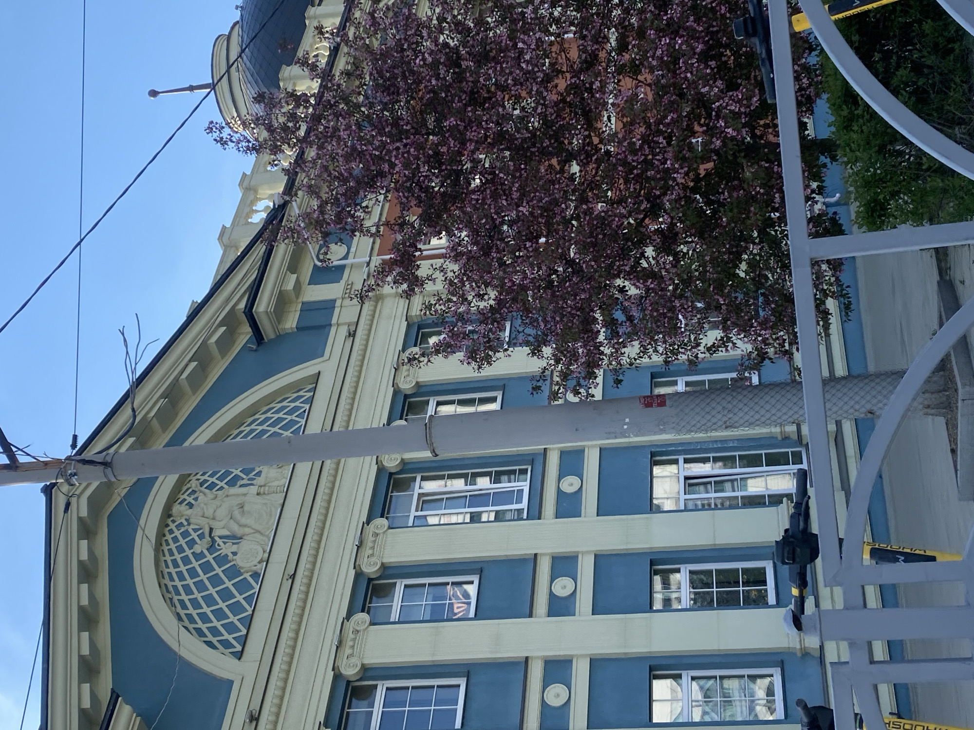 The image shows a building in Yekaterinburg, Russia, with a blue and beige facade. The building has multiple windows, decorative columns, and a large circular design with a relief sculpture on its upper section. A flowering tree with purple blossoms partially obscures the facade. Utility poles and wires are visible in the foreground. Construction scaffolding is also visible on the right side of the image. The sky is clear and blue.