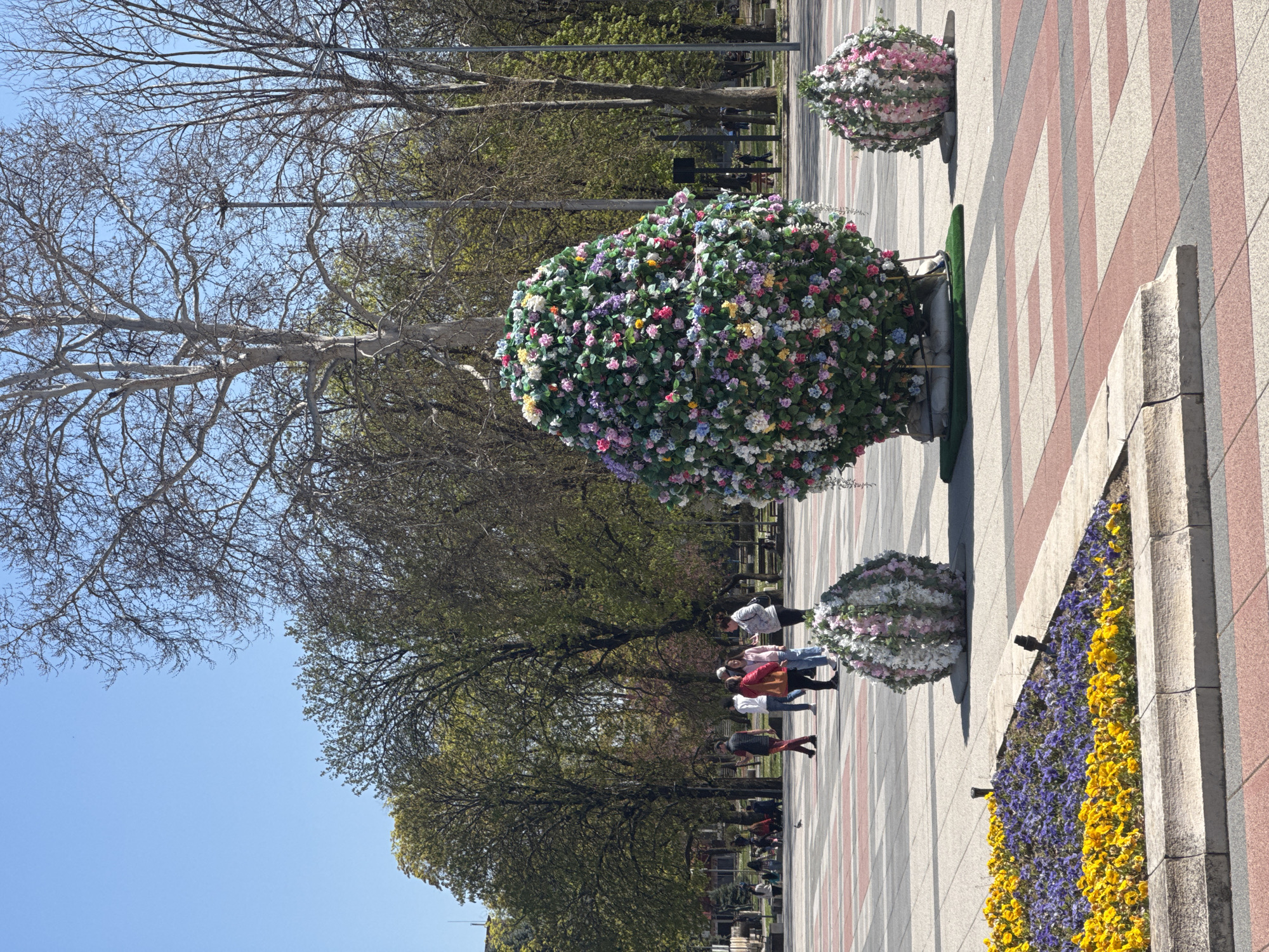 The image captures a scene in Montana, Bulgaria, featuring a park-like area. A pathway with red and grey striped pavers runs through the scene.
Three decorative floral spheres sit on the path, arranged in a row. The largest, in the center, is adorned with a mix of colorful flowers including pink, white, yellow, and purple. Two smaller spheres with pink and white flowers are placed at either end.
A flower bed is planted along the right side of the pathway, with rows of yellow and purple flowers.
Several people are walking along the path in the background, facing away from the camera. Some are wearing red, white, and blue clothing.
Bare trees and trees with young leaves line the left side of the pathway, partially obscuring the background. A blue sky is visible above.
