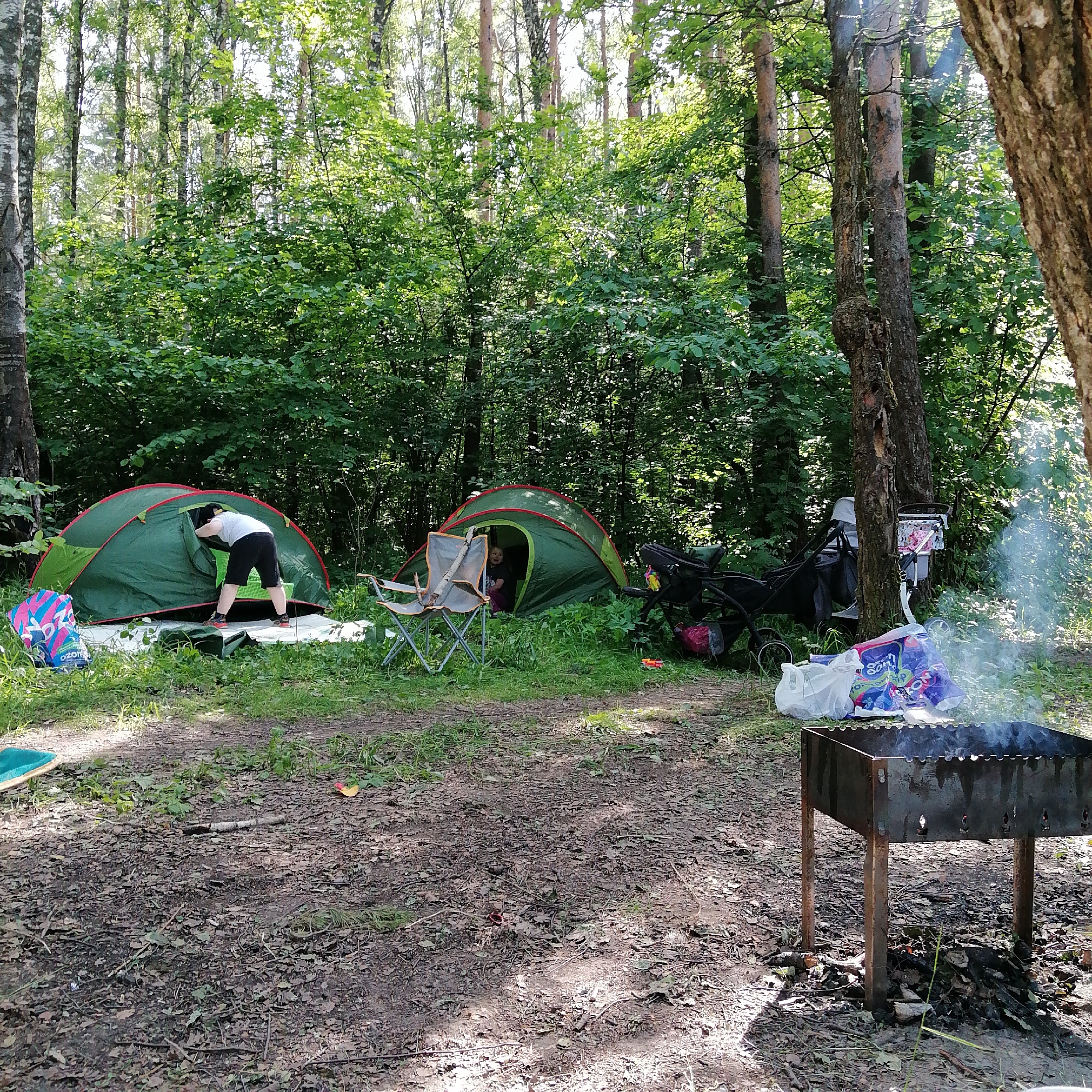 The image depicts an outdoor camping or picnic scene situated in a wooded area. The location in the city is Unknown, Unknown.
In the foreground, a rectangular, dark metal barbecue grill stands on four metal legs in the lower right, actively emitting smoke, indicating its use. Behind the grill, on the ground, are several plastic bags, including a white one and a purple and white bag with "OZON" branding. The ground consists of dried leaves, dirt, and sparse patches of green grass, with a clear path visible.
Two green dome tents with red trim are set up in the mid-ground. The tent on the left has a person, wearing a white t-shirt and black shorts, bent over at its entrance, appearing to be entering or exiting. This tent is placed on a light-colored ground sheet, and a blue and pink patterned bag rests next to it on the left. To the right of the first tent, a second similar green tent is visible, with an individual partially discernible inside its opening. In front of this second tent, a grey folding camping chair with a small tree branch resting on its seat is positioned.
Further to the right and slightly behind the second tent, several strollers and a grey folding baby carrier are clustered near the base of a prominent tree with dark, textured bark. Additional bags, including another purple and white "OZON" bag, are visible in this area.
The background is dominated by a dense forest composed of tall trees with both light-colored (birch-like) and darker, rough bark, covered in lush green foliage. Sunlight filters through the tree canopy, creating dappled lighting on the scene.