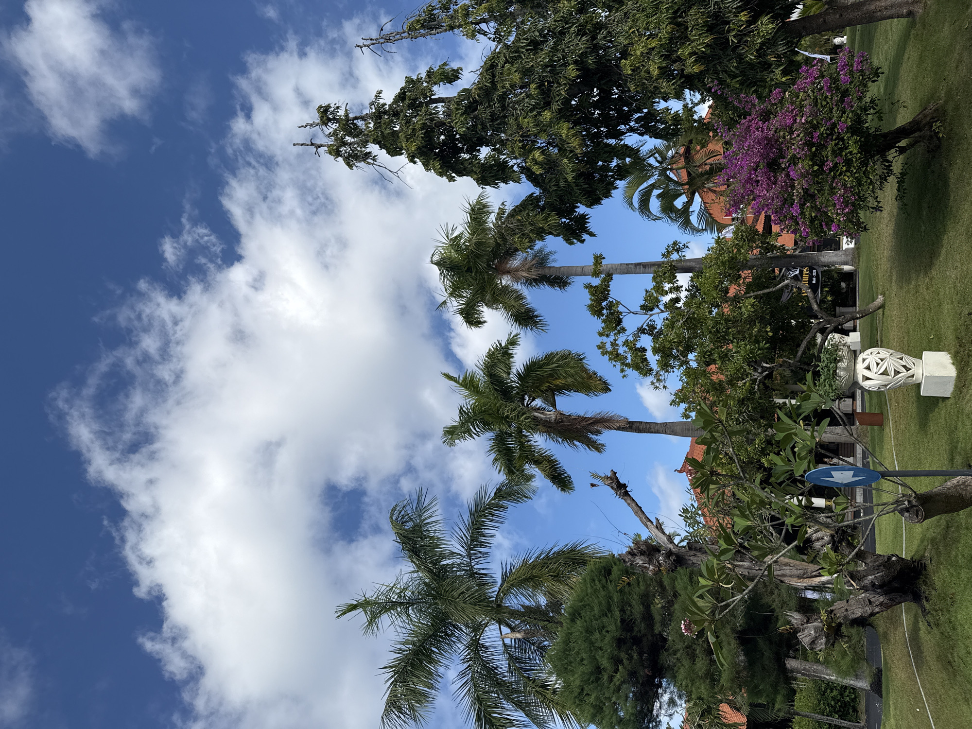 The image displays a vibrant outdoor scene under a bright blue sky dotted with scattered white clouds. Lush tropical vegetation fills the frame, featuring several tall palm trees with prominent green fronds and various other leafy trees. A prominent bush with vivid purple flowers adds a splash of color to the verdant landscape. The ground is covered by well-maintained green grass.
In the background, a building with an orange-tiled roof is partially visible, hinting at resort-style or local architecture. Several white, intricately designed decorative sculptures are also present on the grassy area. A blue circular sign with a white arrow pointing downwards is situated in the mid-ground. Visible white text on the sign reads "Adventures" and a phone number, "846-2556".
The scene depicts a tranquil, sunny day with clear weather, suggesting a peaceful and well-kept environment. No specific activity is occurring. The combination of tropical plants and architectural style is consistent with the location context of Kuta Selatan, Indonesia.