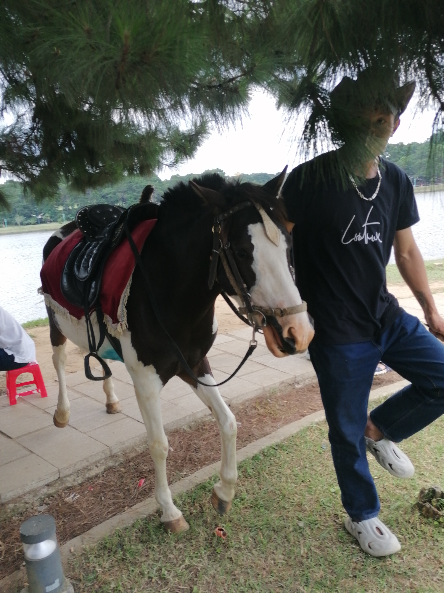A person wearing a black cowboy hat and a black t-shirt with a silver necklace stands beside a black and white horse. The horse is saddled with a red blanket underneath the black saddle. The person is wearing blue jeans and white slip-on shoes. In the background, there is a body of water and a line of trees. A small red stool is visible to the left of the horse. The scene appears to be in an outdoor setting, likely a park or a stable area, possibly in Da Lat, Vietnam, given the presence of pine trees and a lake.