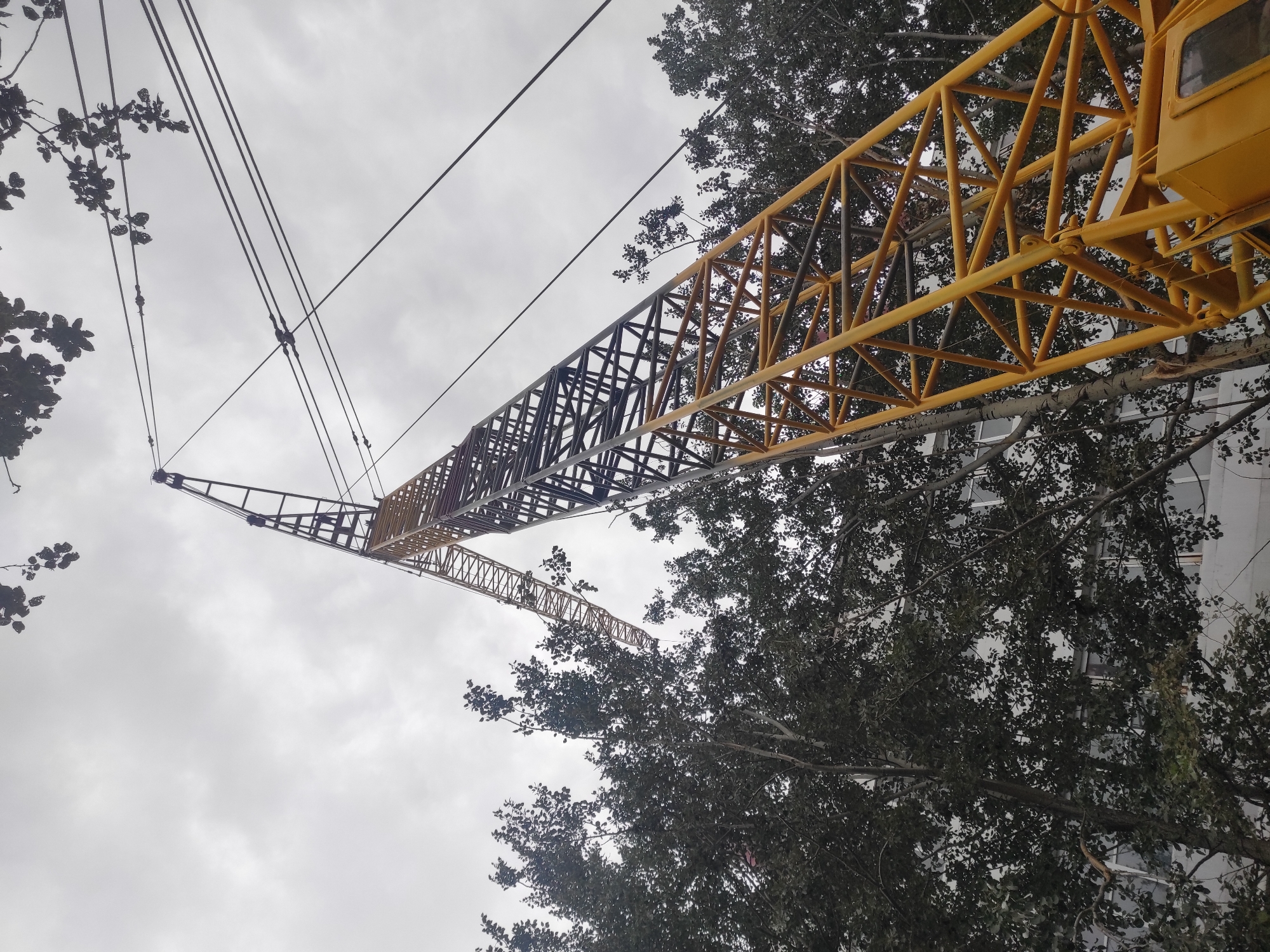 An extreme low-angle, wide shot captures the towering structure of a yellow and dark gray construction crane against an overcast sky. The crane dominates the frame, its lattice boom extending diagonally upwards and to the left. Intersecting cables crisscross the sky, attached to the crane's structure. Dense, dark green foliage from tall trees flanks the lower left and right sides of the image, partially obscuring a white building in the background. The scene appears to be a construction site in the city of Kyzyl, Kazakhstan.