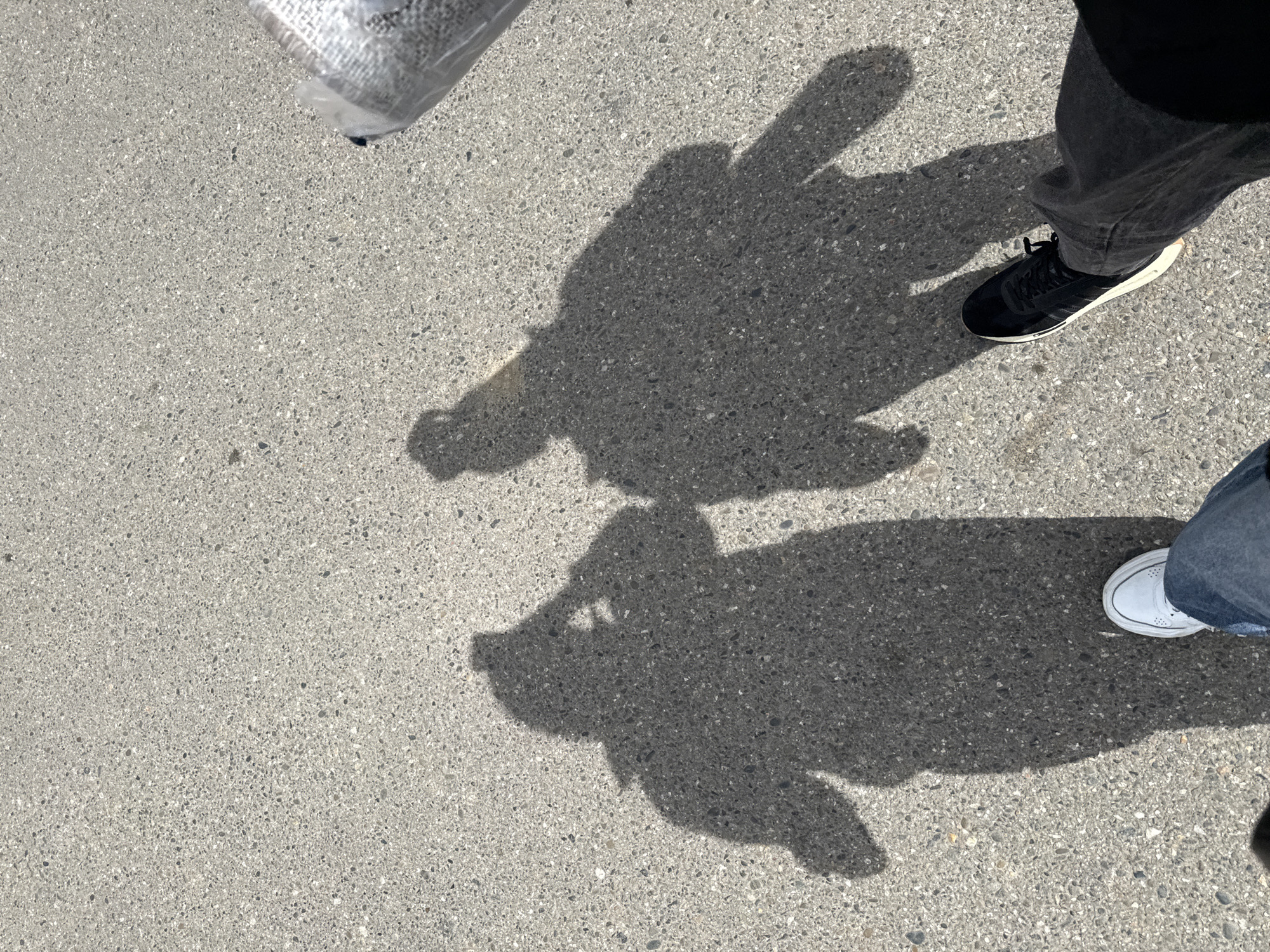 The image shows a section of paved ground outdoors, possibly a sidewalk or parking lot. Two shadows of individuals are visible on the ground, along with a partial view of the shoes and pants of the individuals casting the shadows. The lighting is bright, creating stark shadows. The overall impression is of a candid, snapshot-like image taken on a sunny day.