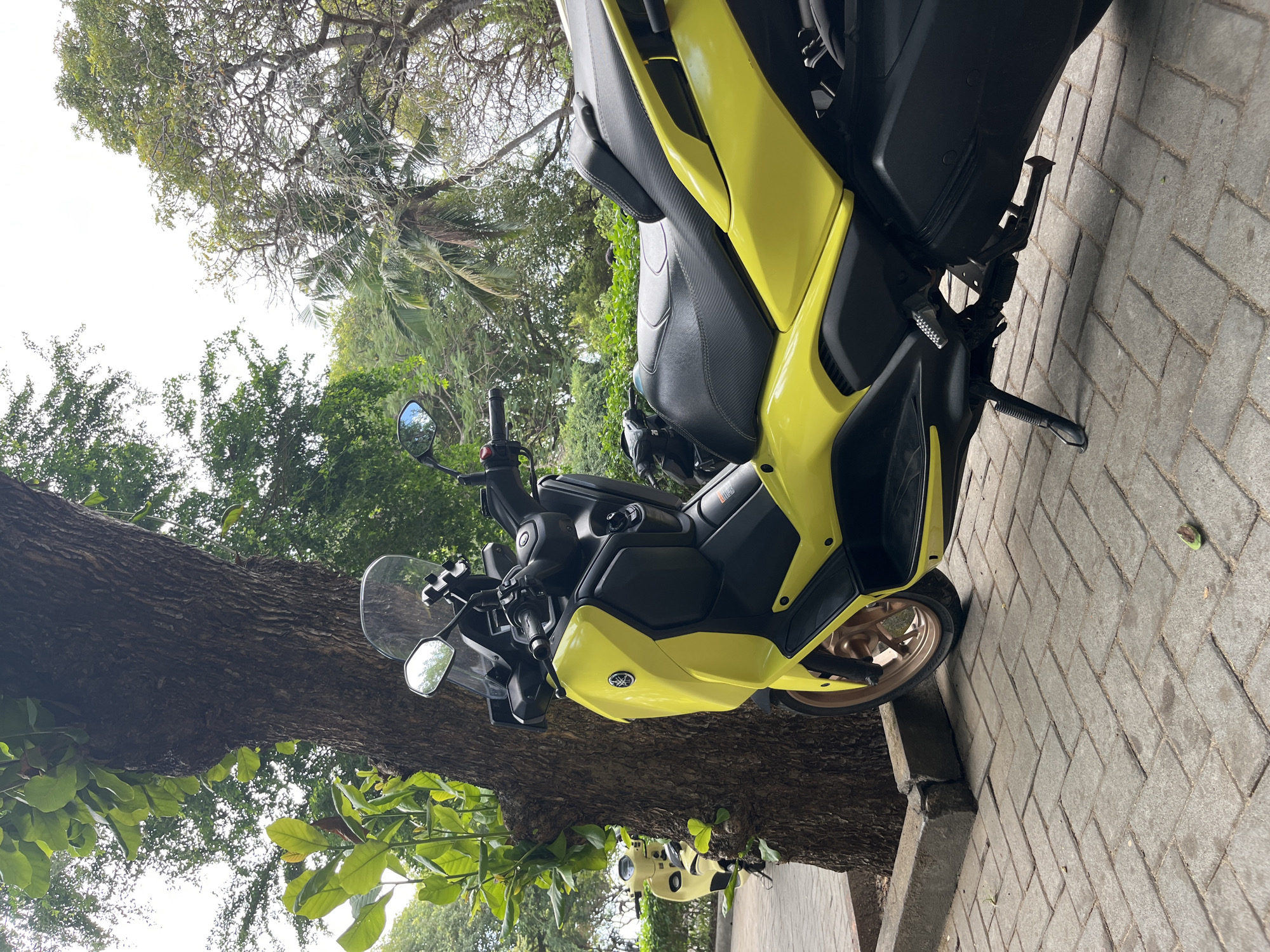A bright yellow Yamaha scooter is parked on a herringbone-patterned brick sidewalk next to a large tree. The scooter is the primary subject, with its side facing the camera. The tree's trunk is textured and rough, with green leaves growing from its upper portion. In the background, there are more trees, including palm trees, and a bright, overcast sky. Another yellow scooter is visible in the distance on the left, parked behind the main scooter. The scene appears to be outdoors, possibly in Kuta Selatan, Indonesia, given the lush tropical vegetation. No people are visible in the image.