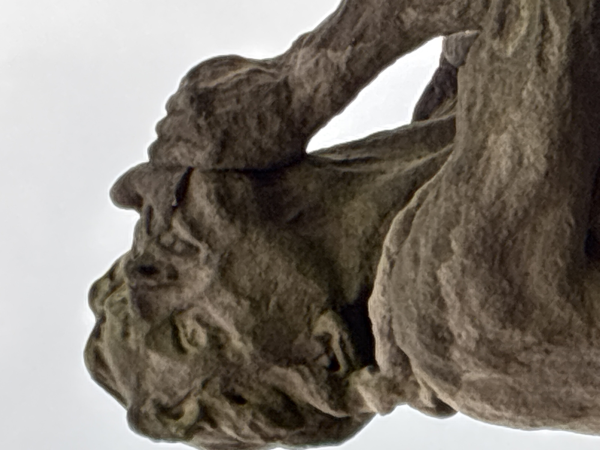 This is a close-up, low-angle, outdoor, medium shot of a weathered stone sculpture of a human figure in Kuks, Czechia. The sculpture is a man with his head tilted back and his hands clasped to his head, suggesting distress or pain. His mouth is open in a grimace, and his eyes are closed. The sculpture is textured and appears to be made of sandstone, with visible erosion and discoloration. The background is a bright, overcast sky. The sculpture is part of the baroque hospital complex in Kuks, which is known for its allegorical statues.