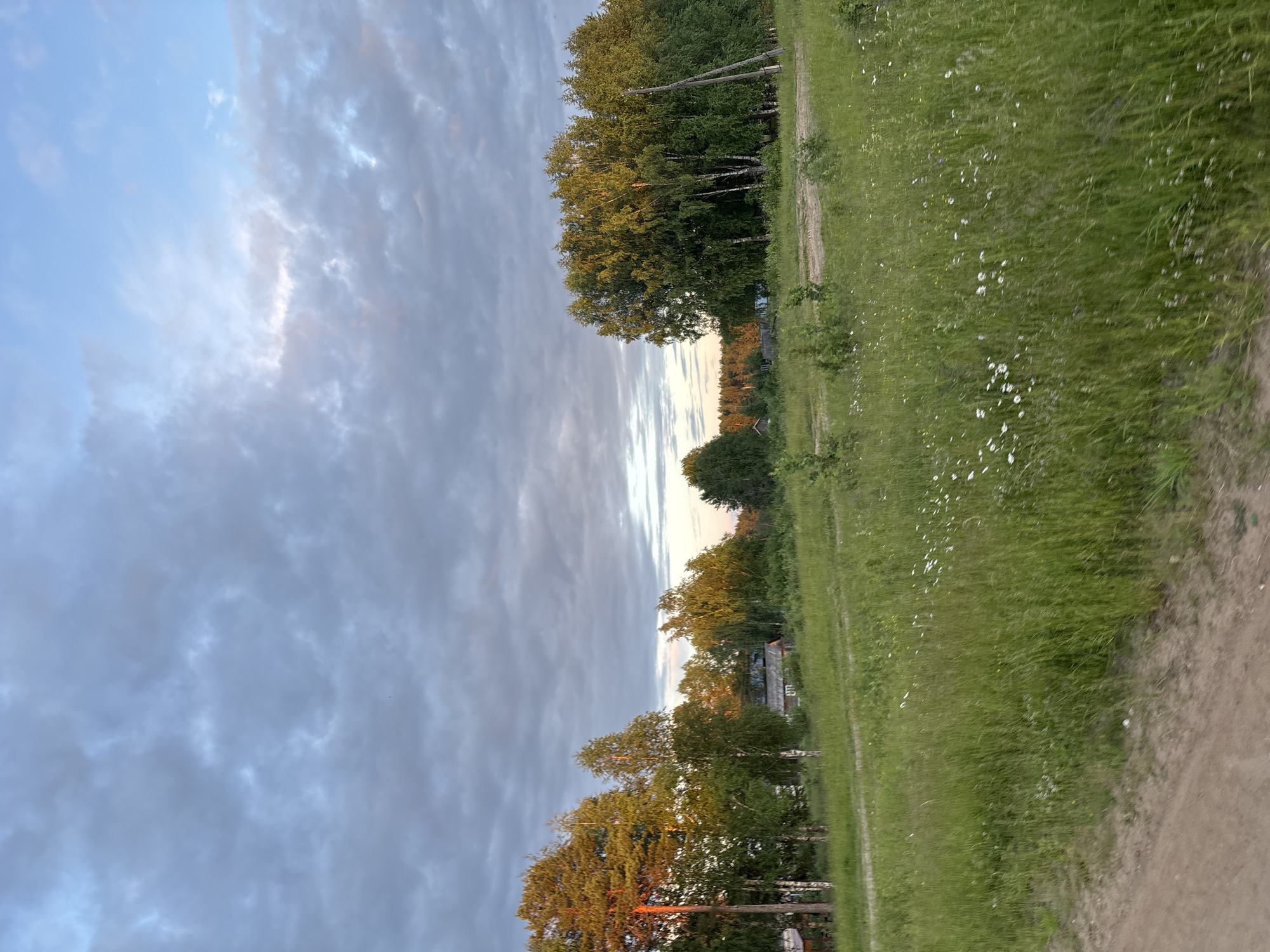 The image depicts a rural landscape under a cloudy sky, possibly at dusk or dawn given the soft light. In the foreground, a dirt path curves through a field of tall green grass dotted with small white wildflowers. Several trees, including what appear to be birch and pine, stand in the middle ground. The trees on the left are illuminated by warm, golden light, while those on the right are also catching the sunlight. Behind the trees, a few simple, weathered wooden buildings are visible, suggesting a small settlement or hamlet. A wooden utility pole stands to the right of the cluster of birch trees. The background consists of more trees and a distant horizon. The overall impression is one of a quiet, natural setting in a Russian countryside. There are no people visible in the image. The image is a horizontal, eye-level shot.