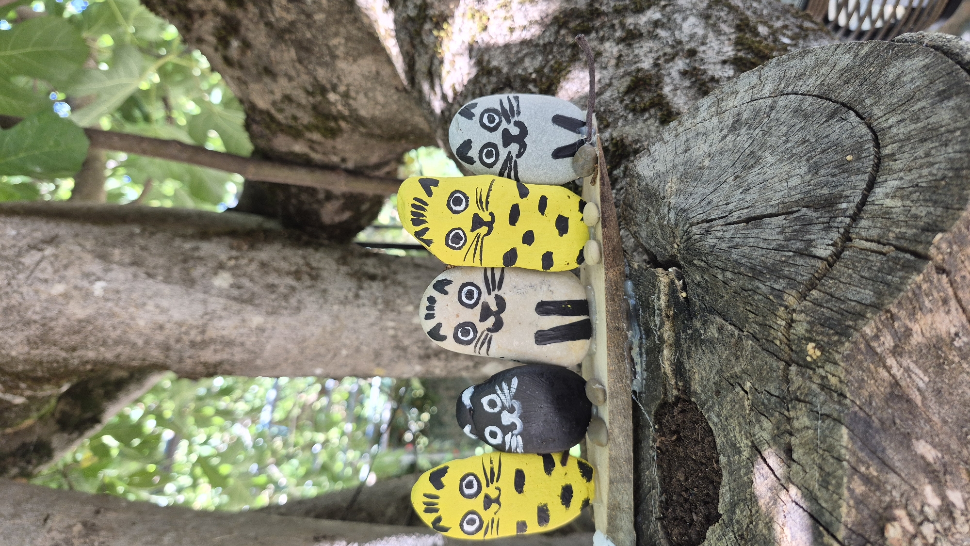 Five painted rocks depicting cats are arranged in a line on a piece of wood, which rests on a weathered tree stump. The rocks are positioned in front of a blurred background of green leaves and tree trunks, suggesting an outdoor setting. The cats are painted with various patterns and colors, including yellow with black stripes, black with white accents, and a light gray stone. Each rock has painted eyes, noses, and mouths, giving them a distinct feline appearance. Small pebbles are used as feet for some of the cat rocks. The overall scene conveys a whimsical and handcrafted aesthetic.