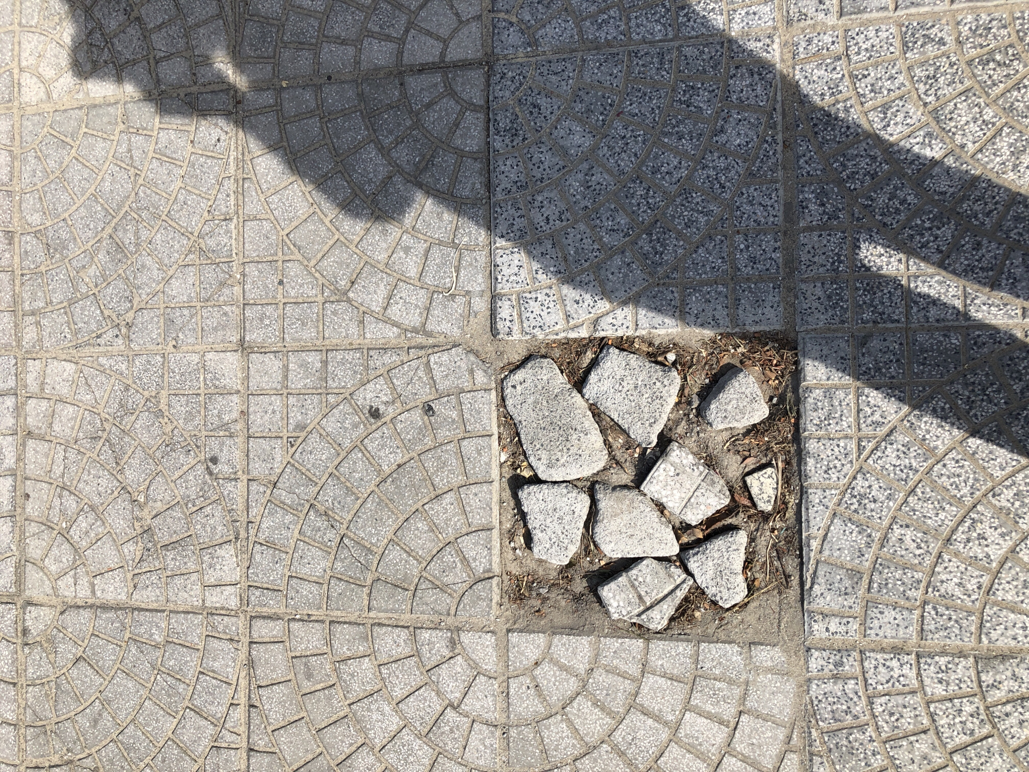 This image depicts a close-up view of a section of sidewalk in Đà Nẵng, Vietnam, characterized by patterned concrete paving slabs. The dominant feature is a square area in the center where the paving has been damaged and replaced with several irregular, broken pieces of light-colored stone or concrete. These broken pieces are clustered within the damaged area, with some visible dirt and dried leaves mixed in. Surrounding this damaged section, the sidewalk is composed of uniform, gray concrete tiles. Many of these tiles are imprinted with a circular, fan-like pattern made up of smaller square segments. A significant portion of the image is overlaid with the shadow of a person, cast diagonally from the right side, suggesting an outdoor scene under bright sunlight. The shadow's edges are soft, indicating the sun is not directly overhead. The overall impression is one of urban decay in a public space.