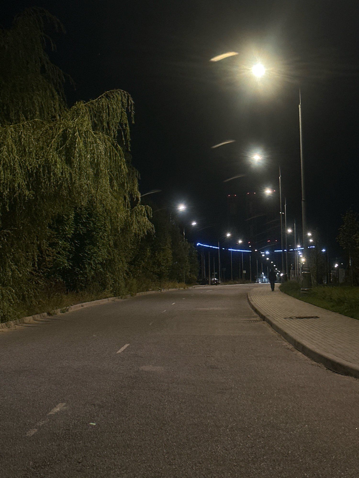 The image captures a nighttime scene on a paved road in the city of Kommunarka, Russia. A dense weeping willow tree with long, trailing branches lines the left side of the road, its foliage illuminated by streetlights. The road itself is asphalt with white lane markings, curving to the right as it recedes into the distance. A paved pedestrian walkway runs along the right side of the road, bordered by grass and more trees. A solitary figure, silhouetted and walking away from the camera, is visible on the walkway in the middle distance. Further down the road, a series of streetlights illuminate the path, with some appearing to have blue and red decorative lights strung between them. The overall atmosphere is that of an urban or suburban street at night, well-lit by artificial lights against a dark sky.