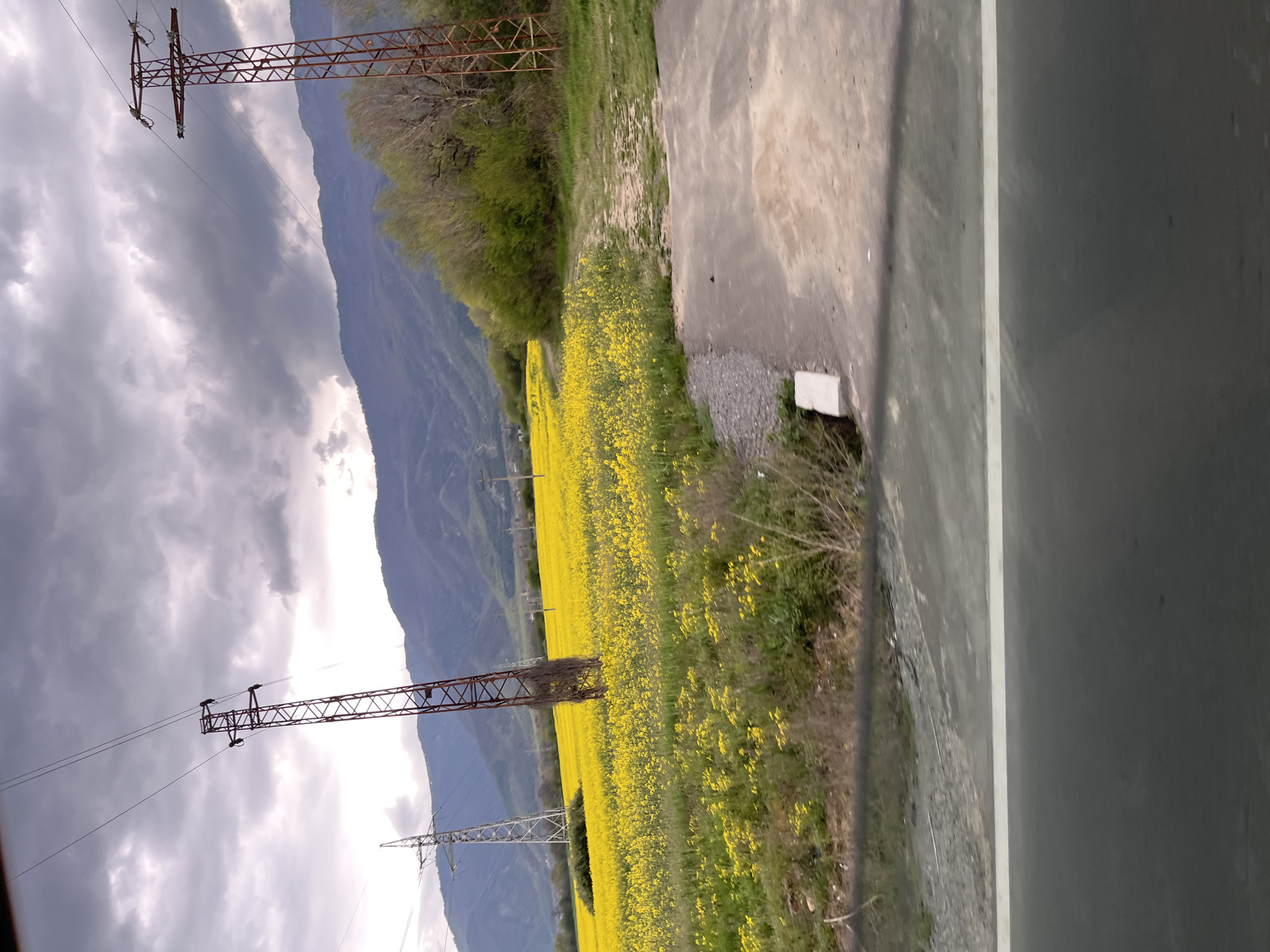 This landscape photograph, taken in Pevtsite, Bulgaria, captures a expansive rural scene dominated by a vibrant field of yellow flowers, likely rapeseed or canola. The image depicts a daytime setting under an overcast sky, with dark mountains in the background.
In the foreground, on the right side of the frame, a dark asphalt road is visible with a distinct white line marking its edge. Adjacent to the road is a gravel and dirt shoulder, which transitions into the sprawling field of bright yellow blossoms that extends across much of the midground. A line of green trees and bushes can be seen beyond the flower field, separating it from the distant mountains.
Throughout the scene, several tall, rusty-brown metal electricity pylons with power lines traverse the landscape, indicating the presence of infrastructure. One prominent pylon stands on the left side of the flower field, while others are visible further into the distance against the sky and mountains.
The background features large, dark, undulating mountains, which appear somewhat muted under the cloudy conditions. The sky is predominantly overcast with grey clouds, though brighter patches suggest the presence of daylight, indicating the photo was taken during the day, possibly late morning or afternoon. There are no visible people or specific activities taking place. No discernible text is present in the image.