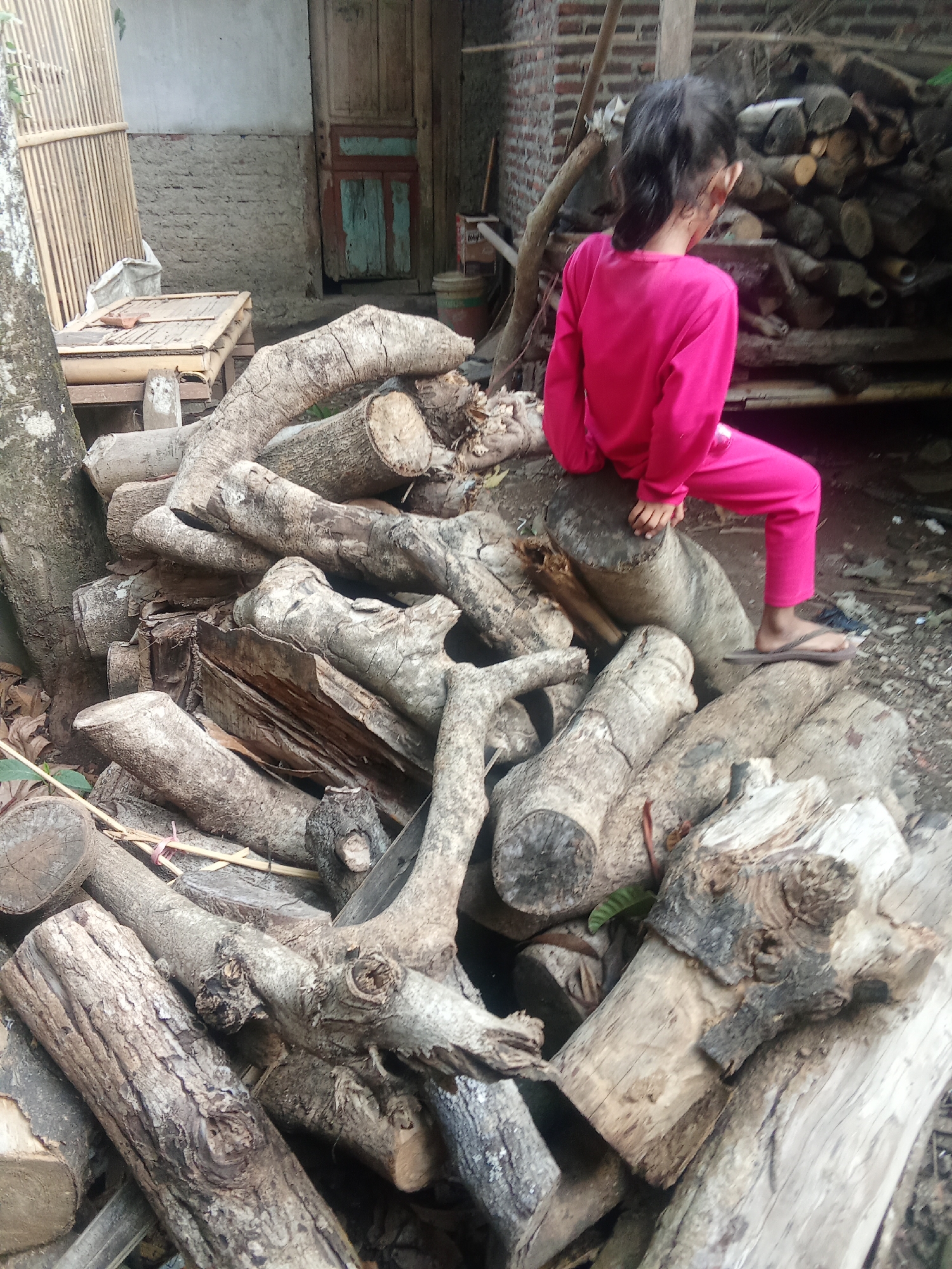 A young child, viewed from behind, sits on a large log that is part of a pile of chopped wood. The child wears a bright pink long-sleeved shirt and matching pink pants, with a pair of brown flip-flops on their feet. The pile of wood is substantial, with many thick, irregularly shaped logs. The environment appears to be an outdoor area with a rustic, possibly rural, setting. In the background, a brick wall and wooden structures are visible, along with what looks like a traditional Indonesian bamboo fence on the left side. The ground is dirt and scattered with leaves. The scene captures a moment of stillness with the child perched on the logs, seemingly resting or observing their surroundings in Cempaka, Indonesia.