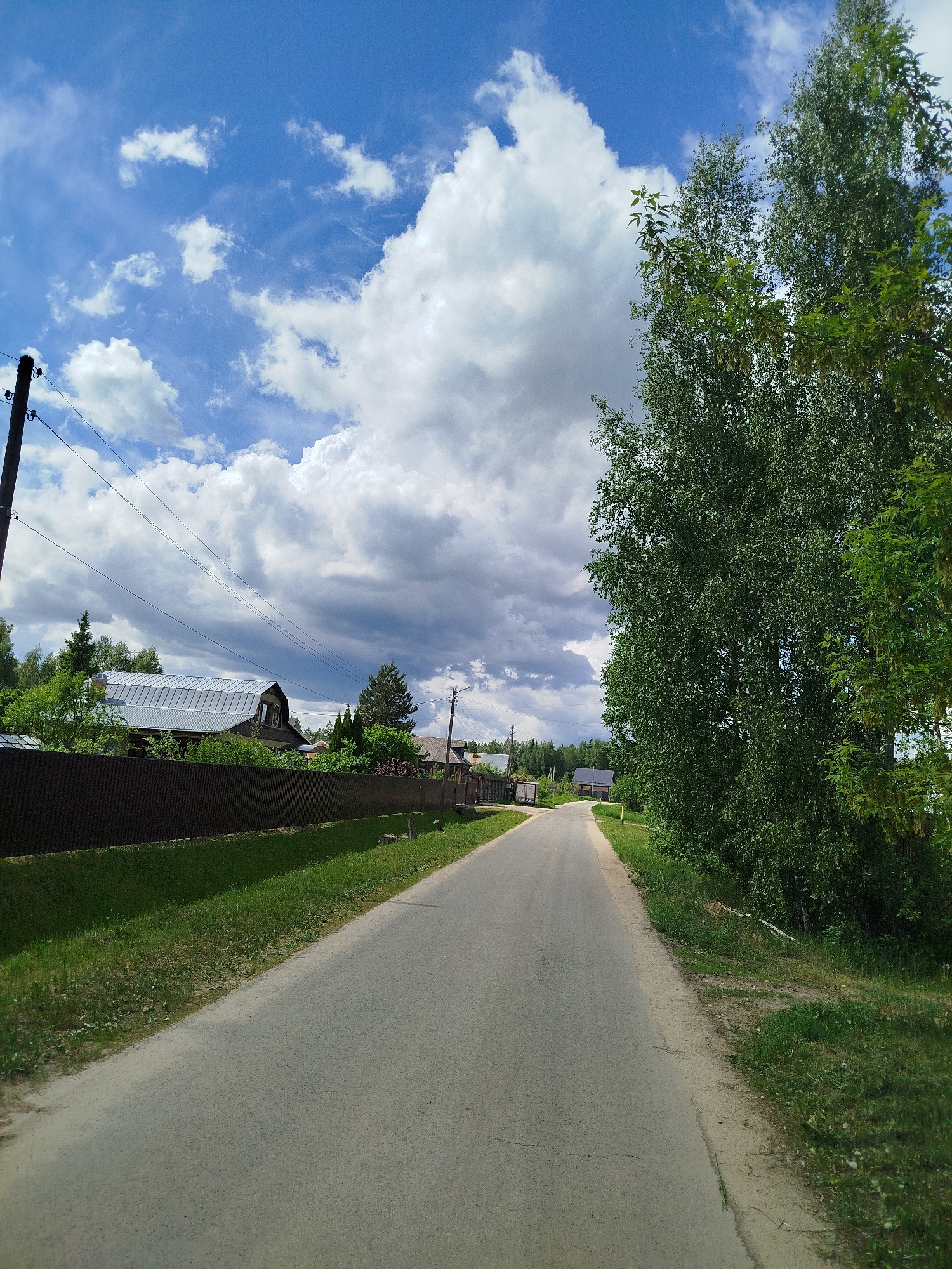 The image depicts a rural road in Боровково, Russia. The road, paved with gray asphalt, stretches into the distance with a slight curve. On the left side of the road is a brown metal fence bordering residential properties. Behind the fence, there are houses with varying rooflines and styles, partially obscured by trees and foliage. A power pole with lines runs parallel to the road on the left. The right side of the road is lined with tall, green trees and lush vegetation. The sky is partly cloudy with a mix of blue sky and large, white cumulus clouds.