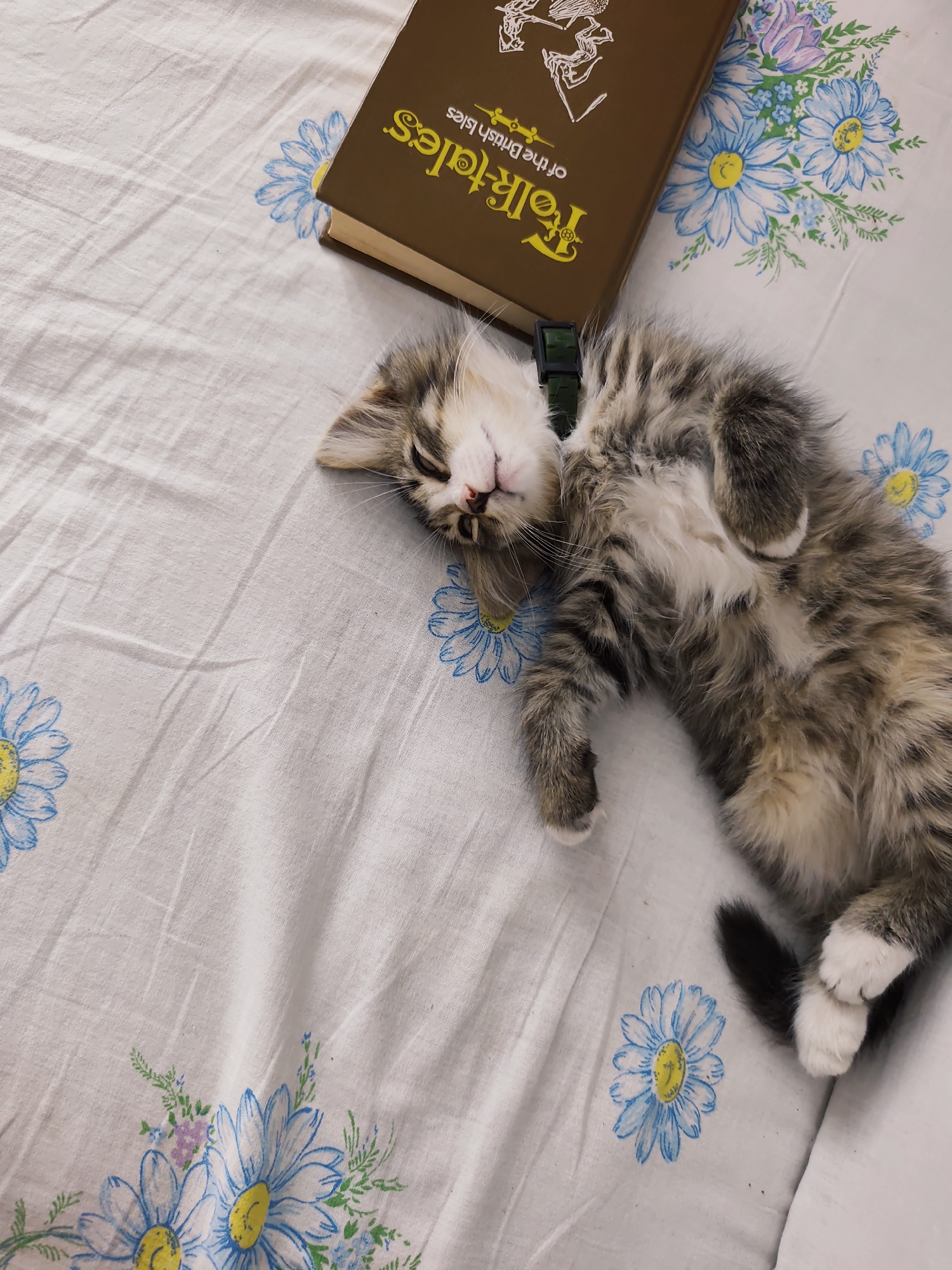 In a dimly lit room in Durlești, Moldova, a tabby kitten is asleep on a white tablecloth patterned with blue and yellow daisies. The kitten, lying on its back with its belly exposed, appears peaceful. A brown book with yellow lettering, titled "Folk Tales of the British Isles," rests beside the kitten. The scene is otherwise devoid of human presence, suggesting a quiet moment of rest for the feline.