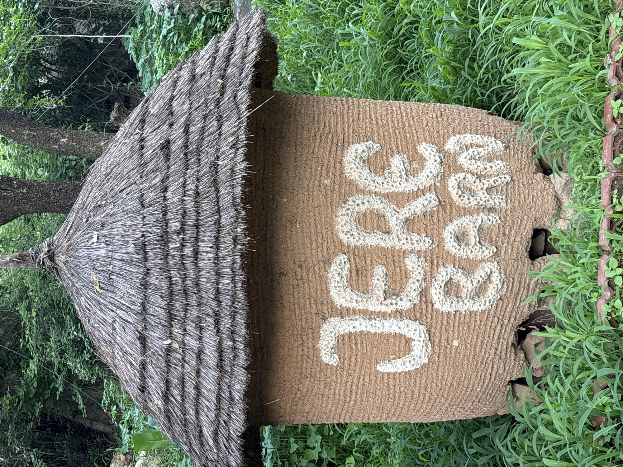This is a media file showing a rustic signpost in a garden setting. The signpost has a thatched roof that appears weathered, made of dry grass or straw. The main body of the sign is a textured, light brown material, possibly clay or a rough plaster. White lettering is applied to the sign, with the words "JERE" and "FARM" visible. The letters are raised and have a rough, handmade texture. "JERE" is written vertically on the left side of the sign, and "FARM" is written vertically to its right.
The sign is situated outdoors, surrounded by lush green vegetation. Dense green grass and plants are visible on the right and behind the sign. The background shows more greenery and tree trunks, suggesting a natural or park-like environment. The lighting indicates it's daytime, with no strong shadows suggesting harsh sun, so it could be overcast or a diffused sunny day.
There are no people visible in the frame, but the sign itself suggests a location related to farming or agriculture, specifically "JERE FARM". The overall impression is one of a natural, somewhat unmanicured setting, possibly in a rural or semi-rural area given the rustic construction of the sign. The image is taken from a slightly elevated angle, looking down at the signpost.