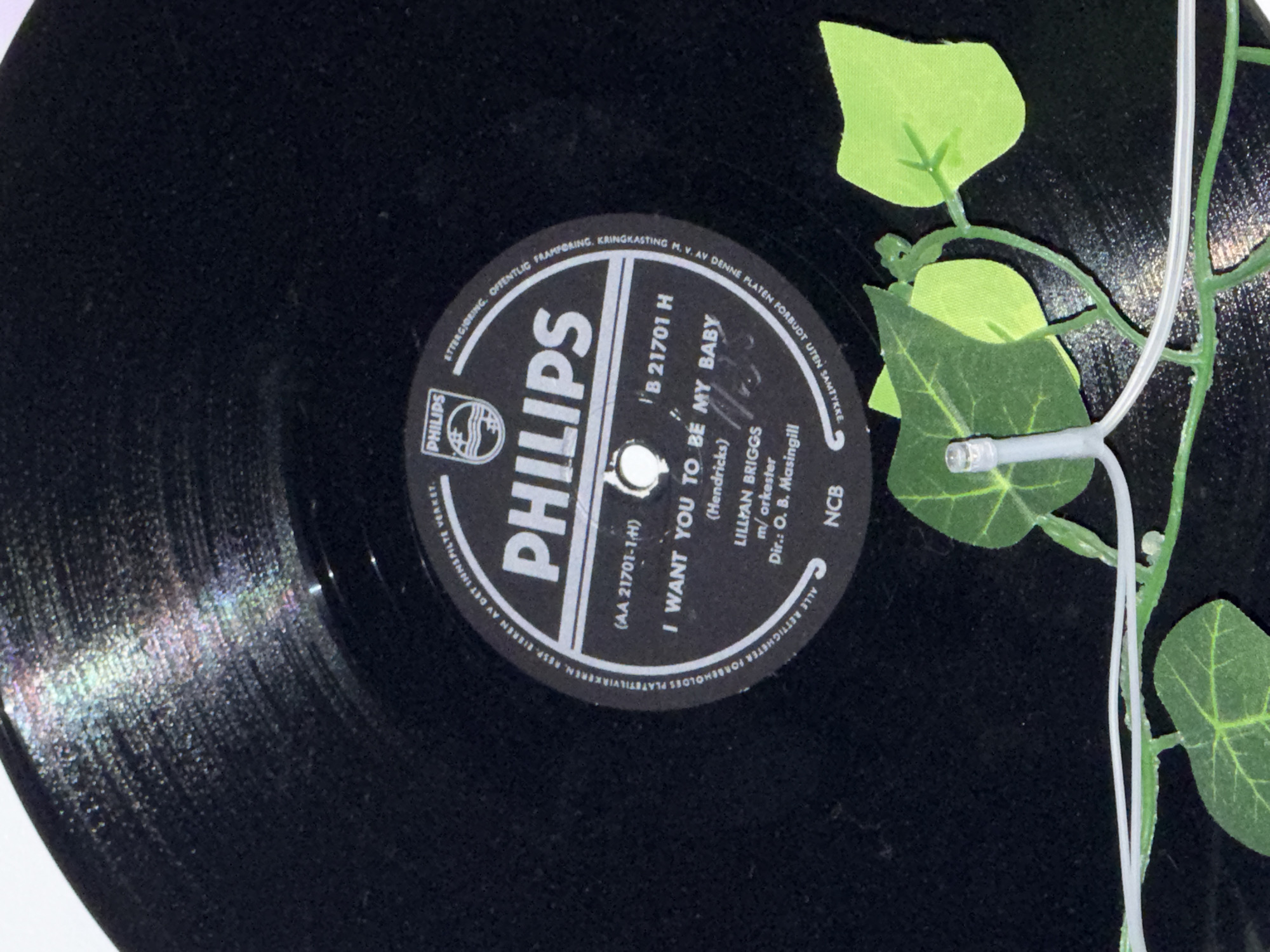 The image shows a close-up of a black vinyl record. The record is placed on a dark surface, possibly a table. A strand of artificial ivy with small green leaves and a single LED light is draped across the record. The label on the record is black with white text and a Philips logo. The text on the label indicates it is a Philips record, with song titles "I WANT YOU TO BE MY BABY" and artist "LILLIAN BRIGGS". There are also catalog numbers and other information printed on the label. The lighting in the image highlights the grooves of the record and creates some rainbow-like reflections. The scene is indoors, with no visible windows or outdoor elements. The image does not provide any information about a specific location in the city of Oslo, Norway.