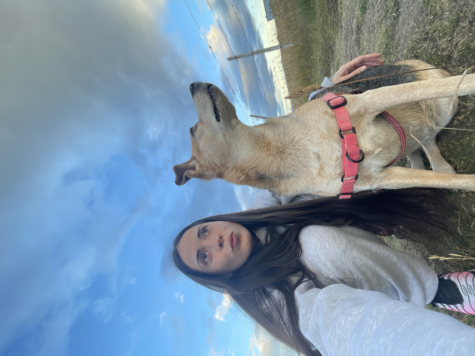 The image shows a female individual and a dog in an outdoor, semi-rural environment. The female, located on the left, is captured from the chest down, crouched on dry, sparse grass. She has long, dark brown hair, a light grey hooded sweatshirt, matching sweatpants, and a black and pink sneaker visible on her left foot. A nose piercing is present on her right nostril. Her lips are slightly pursed, and she looks upwards and to the right, away from the camera. Her right hand is resting on the dog's back. The dog, positioned to her right, is a medium-sized, tan and brown mixed-breed animal, sitting upright and wearing a bright pink harness with black metal rings. It also looks upwards and to the right, in the same direction as the female. The background features additional dry, light-colored grass and a barbed wire fence supported by wooden posts on the right side. The sky above is predominantly blue with scattered white and grey clouds, suggesting either late afternoon or early evening light. The general environment is consistent with an outdoor, possibly peri-urban, area near Ushuaia, Argentina, though no specific city landmarks are visible for precise location identification within the city.