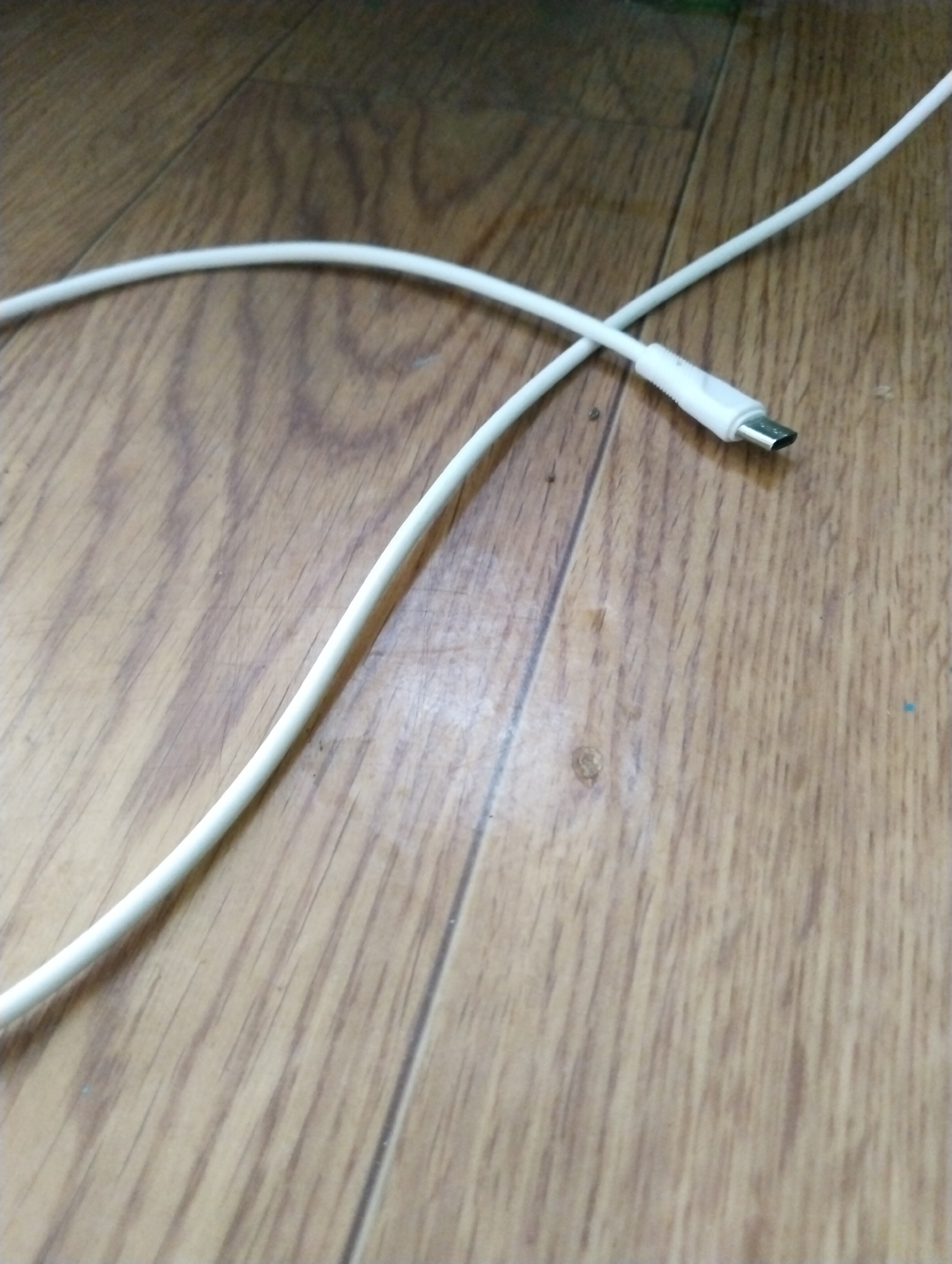 A white USB-C cable lies on a light brown wooden floor. The cable is bent into a large curve, with the connector end visible in the lower right portion of the image. The connector is silver with a white plastic casing. The wooden floor has a prominent grain pattern and appears to be made of planks. The lighting suggests an indoor environment, possibly a home. There are no people or other objects visible in the frame. The location in Rudny, Kazakhstan cannot be determined from the image alone.