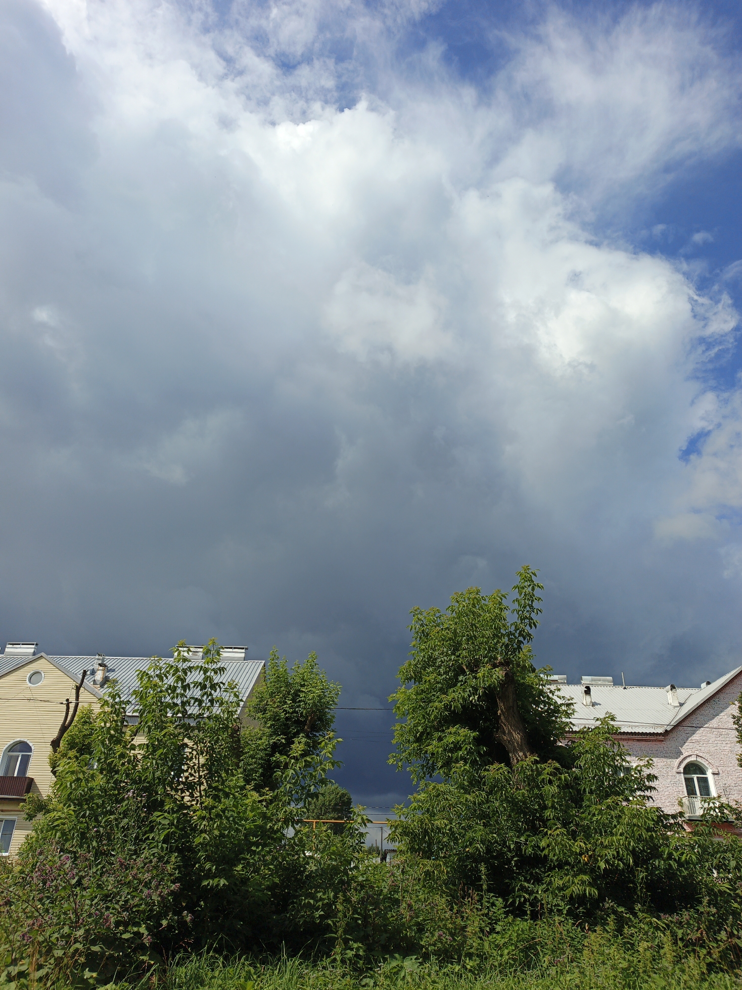 The image shows a view of buildings and trees against a dramatic sky with a mix of dark storm clouds and bright, white clouds. The foreground is filled with lush green grass and foliage. In the middle ground, the tops of two buildings are visible, characterized by their light-colored walls and grey, sloped roofs. One building on the left is yellow and features a round window and an arched window. The building on the right appears to be made of pink brick and also has arched windows. Several green trees with dense foliage are positioned in front of the buildings, partially obscuring them. The sky dominates the upper portion of the image, with a significant dark cloud formation stretching across the center, suggesting an approaching storm. Lighter, brighter clouds and patches of blue sky are visible on the right side. The scene appears to be set in an urban or suburban environment. The location is identified as Medvedyovka, Russia.